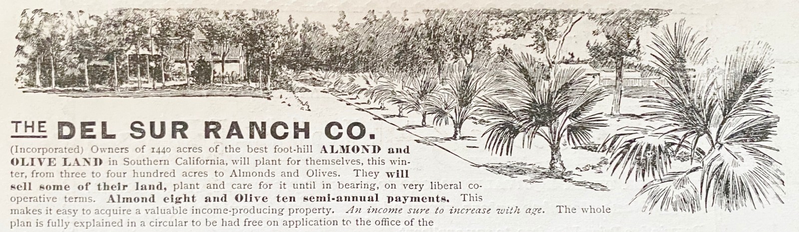 DEL SUR RANCH CO,S.CA Orchard Land Sales Offer by George Eakins PA 1896 Print Ad