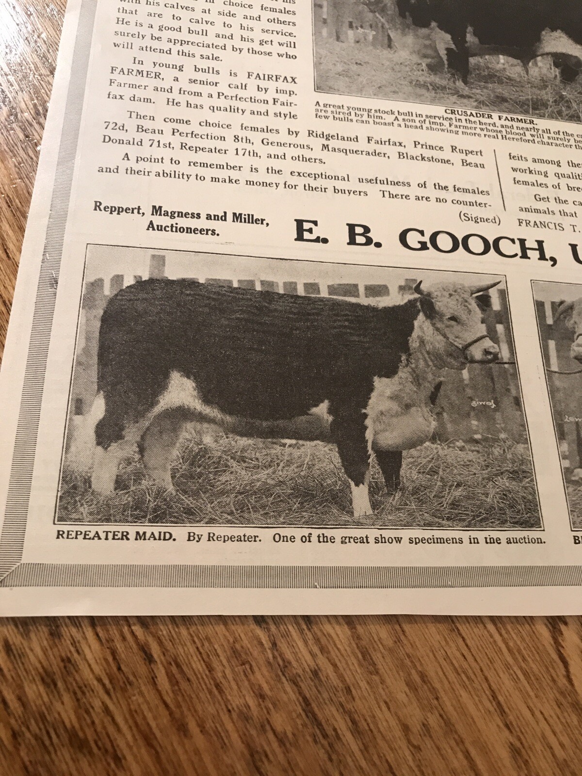 1917 Cattle Livestock Public Sale Poster – Sioux City – Iowa – Cow Advertising