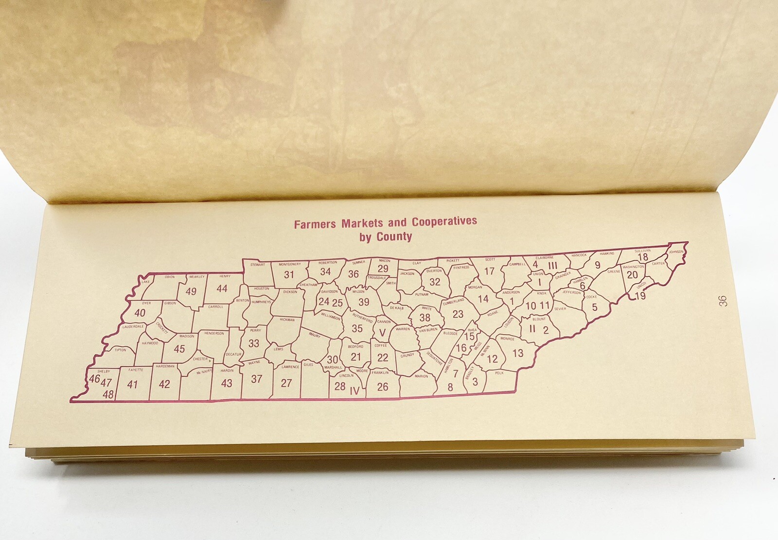 Vintage Tennessee Farm Produce Directory Department Of Agriculture Fruits Vegies