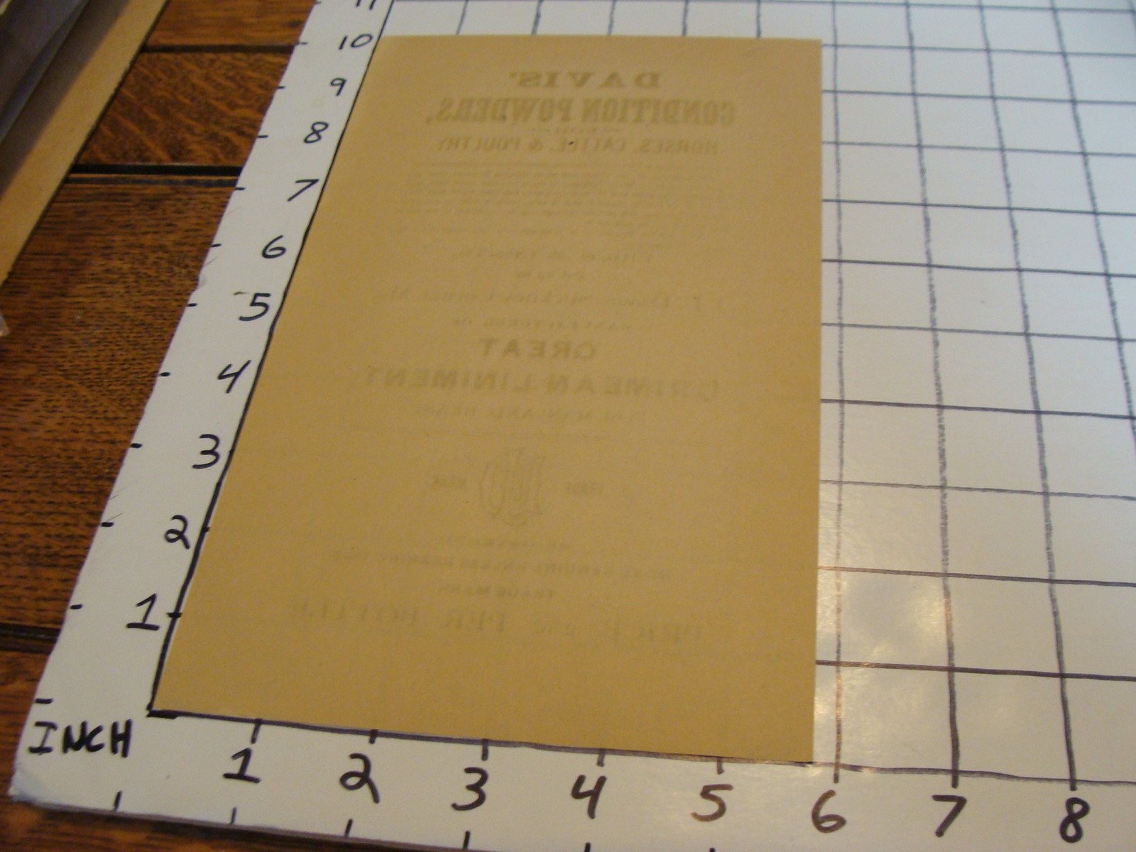 Vintage Early Paper: DAVIS&rsquo; CONDITION POWERS broadside paper ad