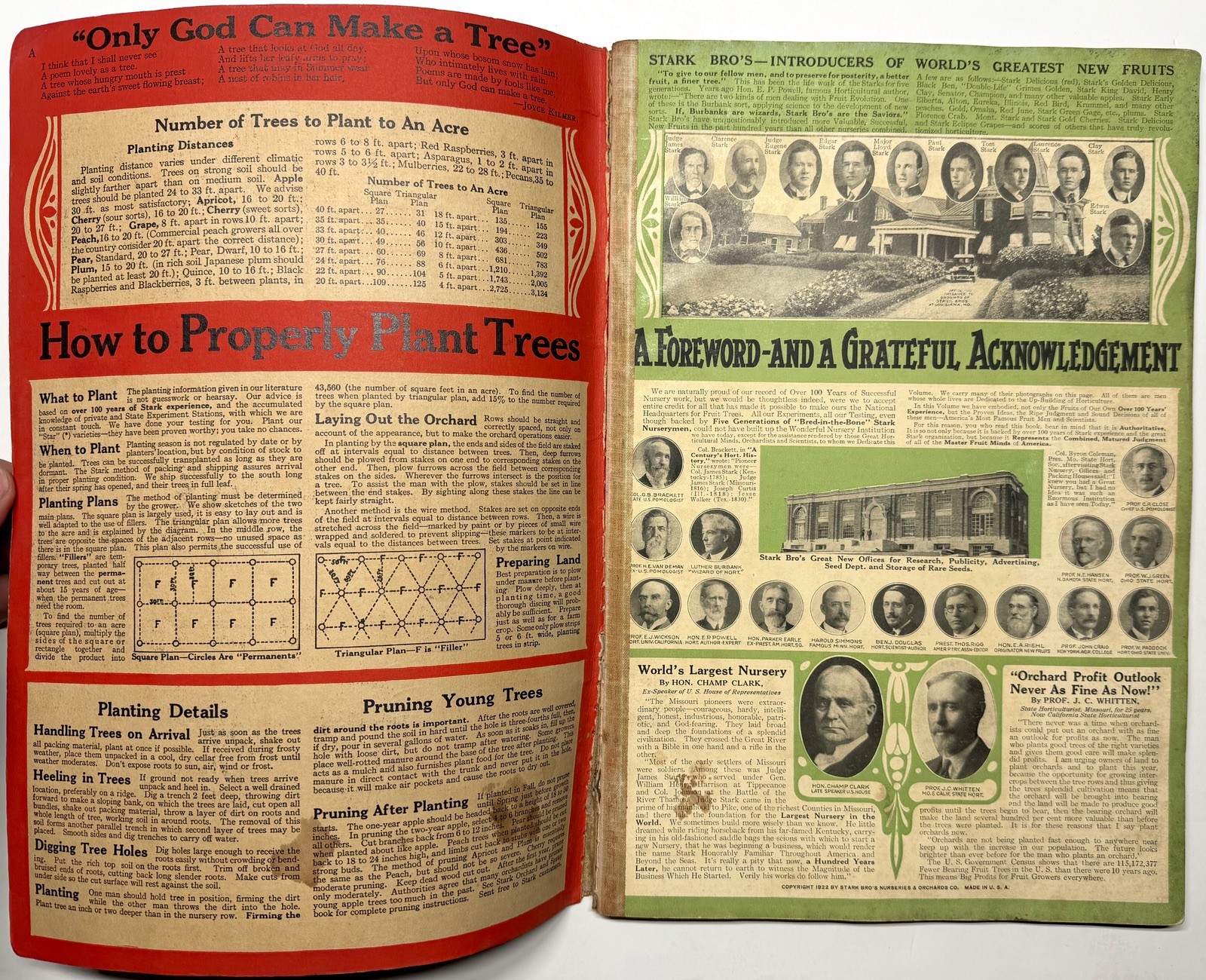 1922 STARK BROS 20TH CENTURY FRUITS NURSERY CATALOG GOLDEN DELICIOUS APPLE PEACH