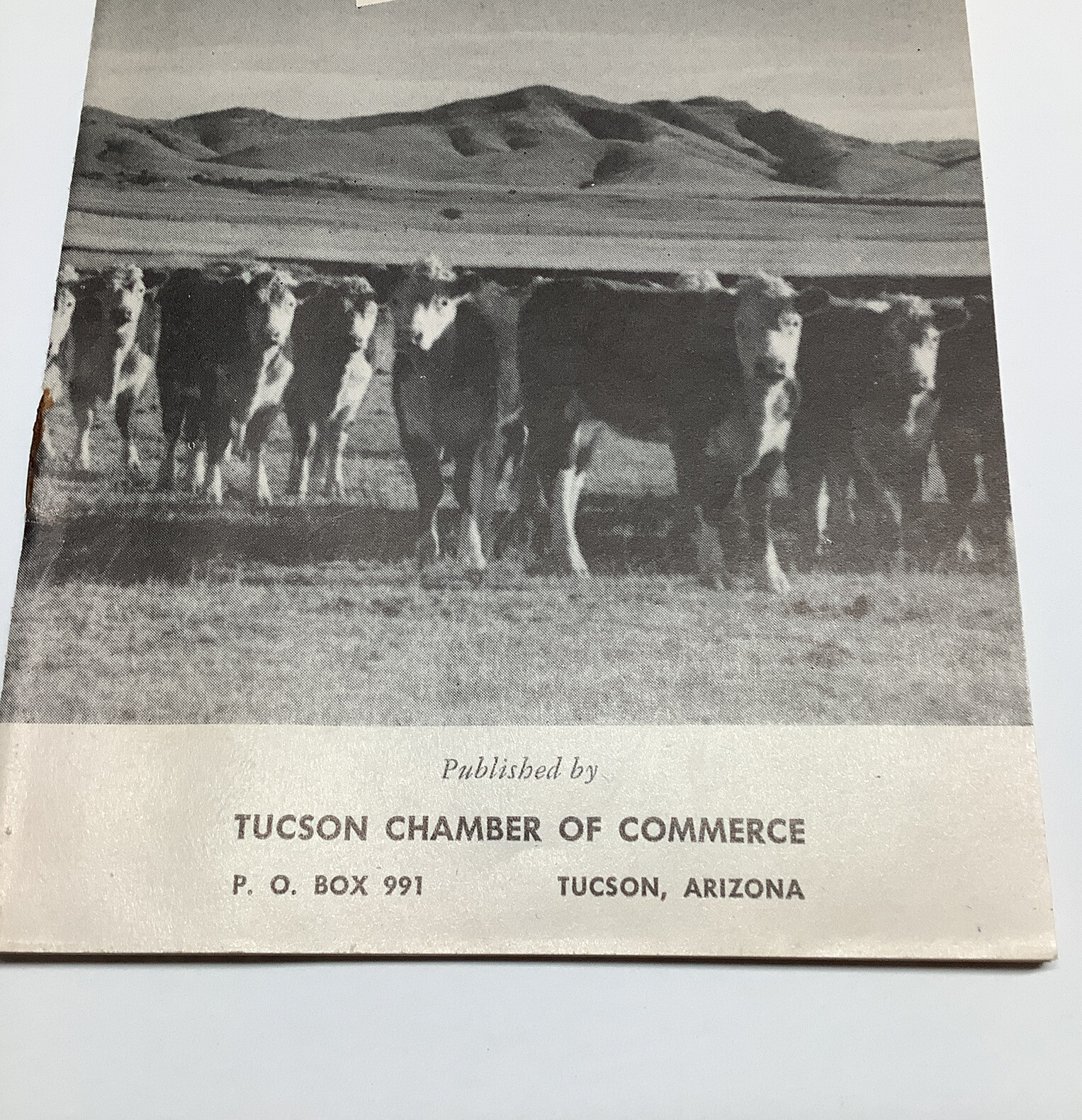 Vintage 1950’s Pima County Arizona Farming & Livestock Informational Bulletin