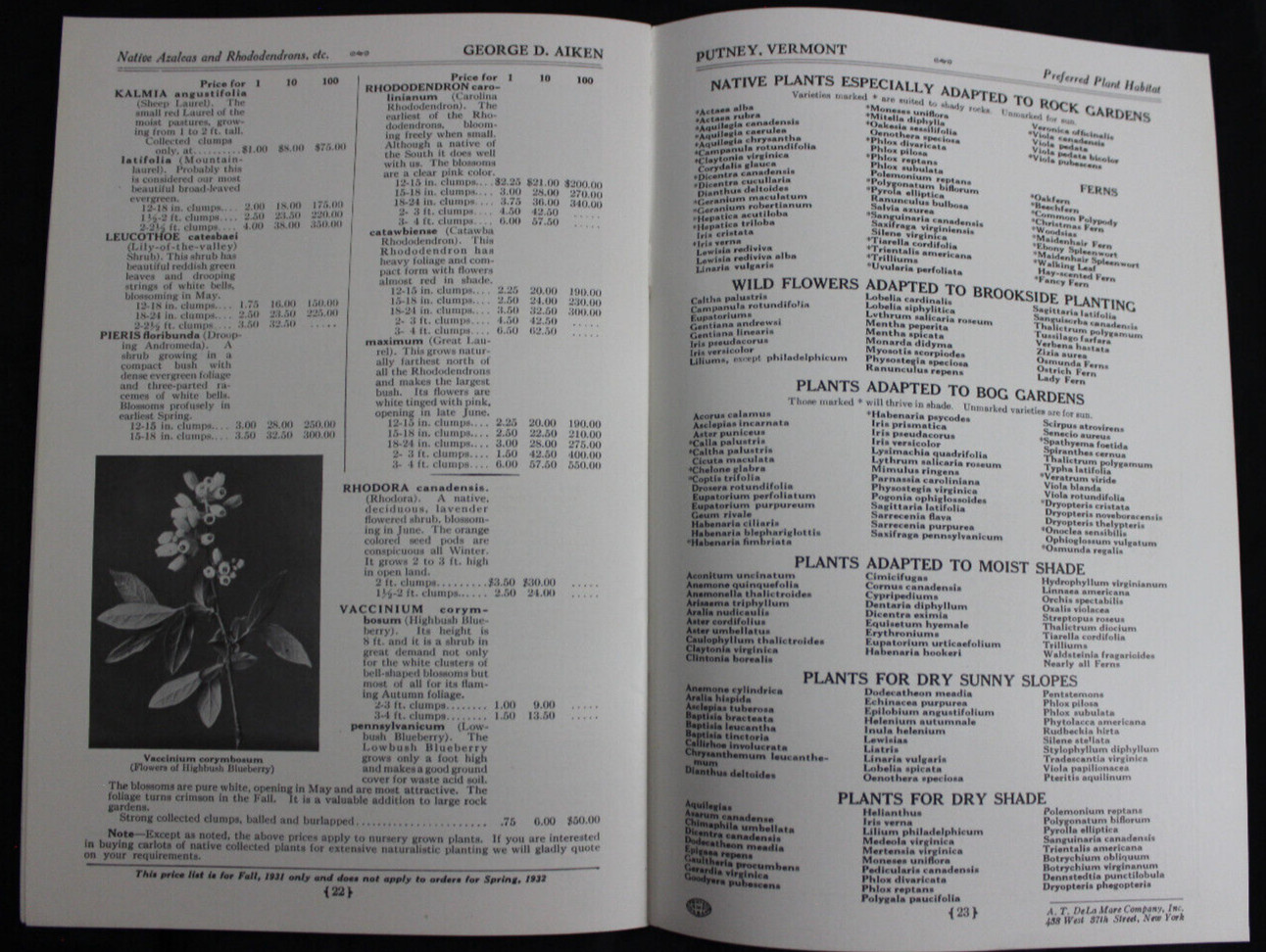 1931 NATIVE NORTH AMERICAN FERNS & WILD FLOWERS CATALOG, GEORGE AIKEN, PUTNEY VT