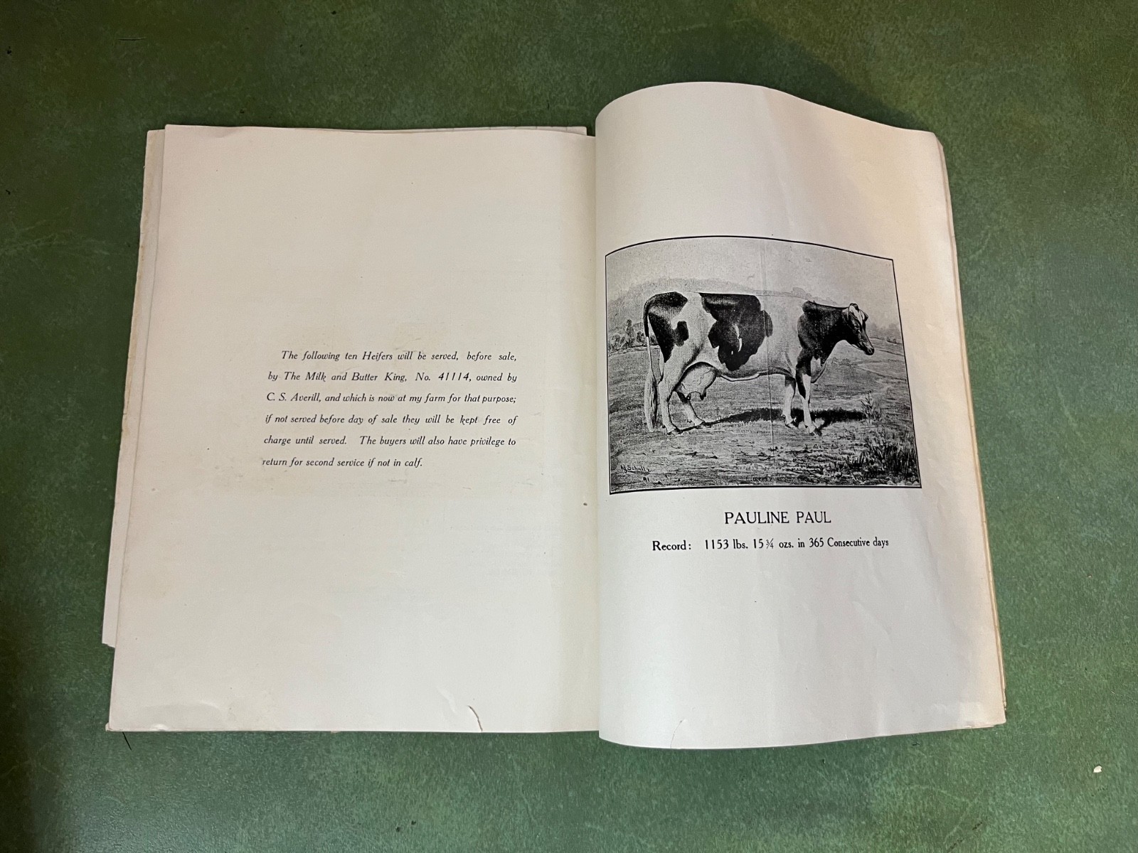 Original 1906 Holstein Friesian Cattle Auction Sales Catalog Pompton Plains NJ