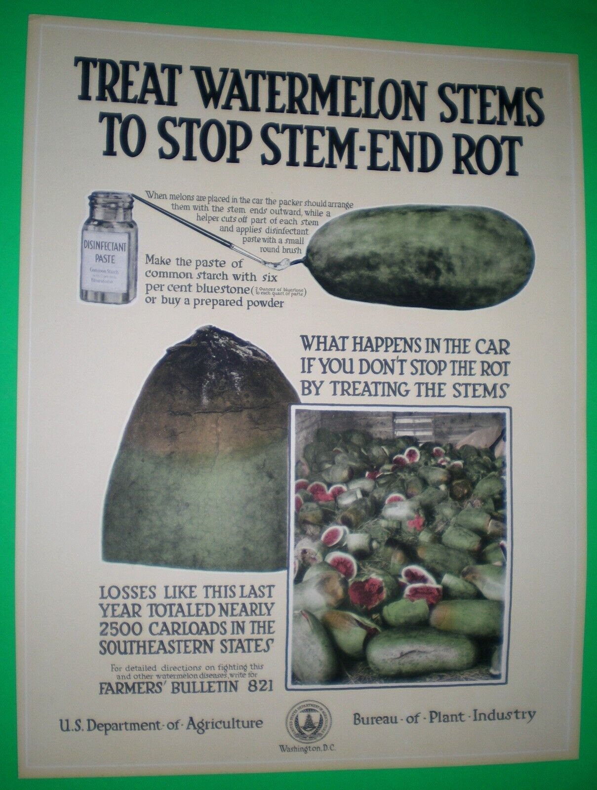 c1918 USDA Bureau of Plant Industry POSTER ~ TREAT WATERMELON STEMS ~ STOP ROT