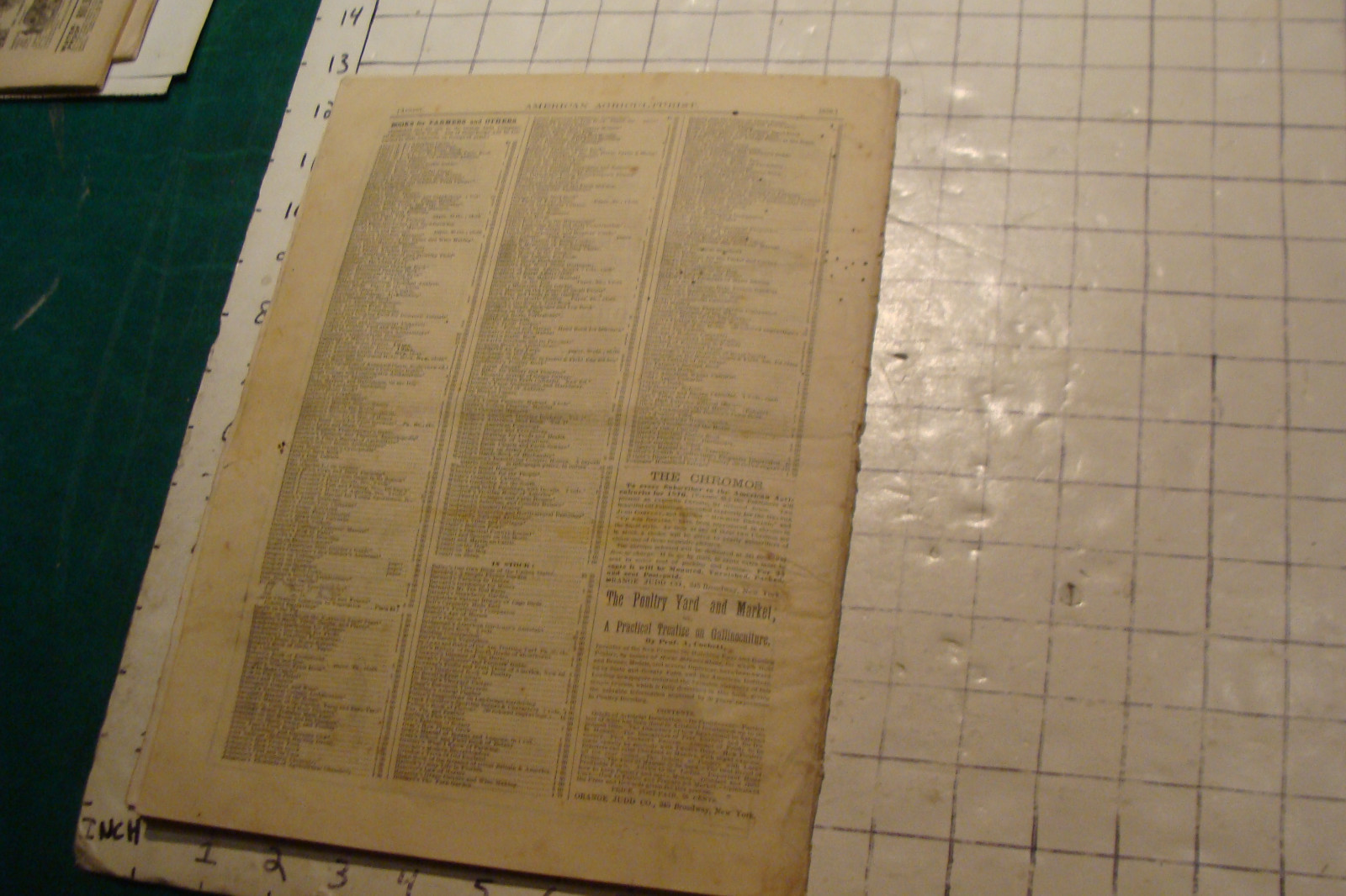 Vintage American Agriculturist 1876 august: TIGER, big puzzle, CRANDALL ADS