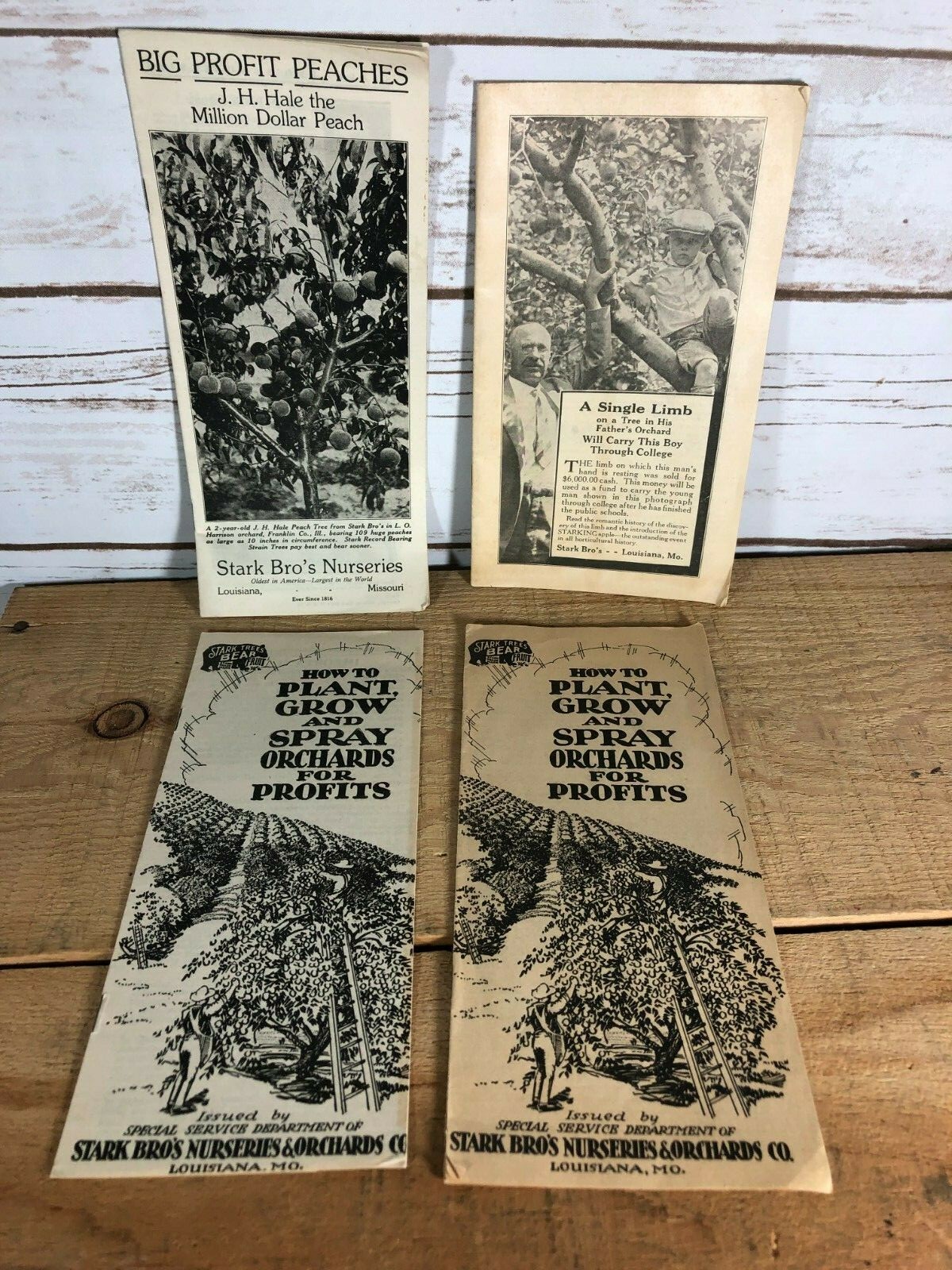 4 Vintage 1930s Stark Bro&rsquo;s Nurseries Orchard Fruit Trees Brochures Catalogs
