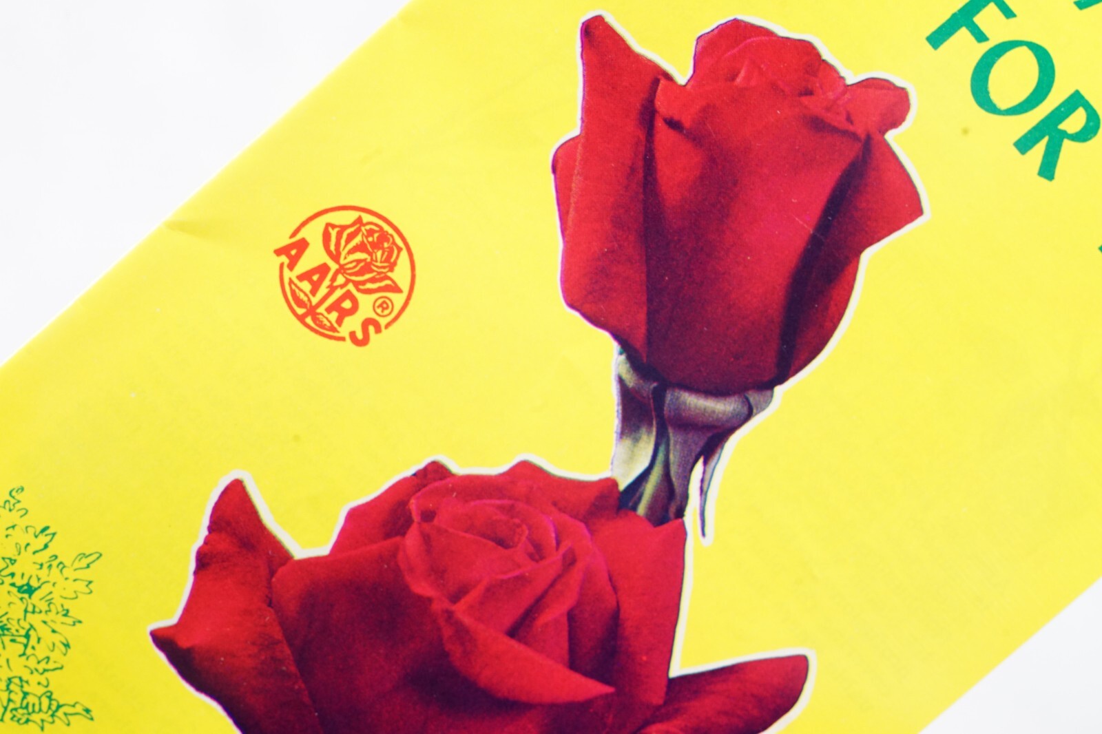 Roses are for You All-America Rose Selections Iowa Agricultural Vintage Brochure