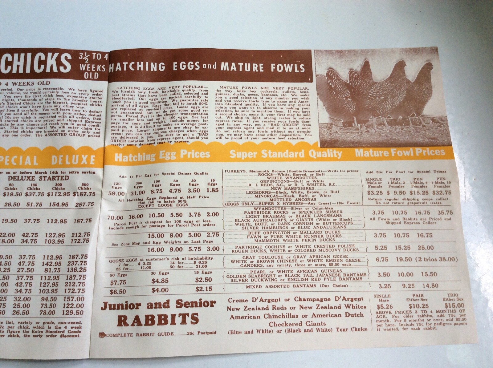 1956-58 Berry’s Farm & Hatchery Chick & Poultry Brochures W/Prices Clarinda Iowa