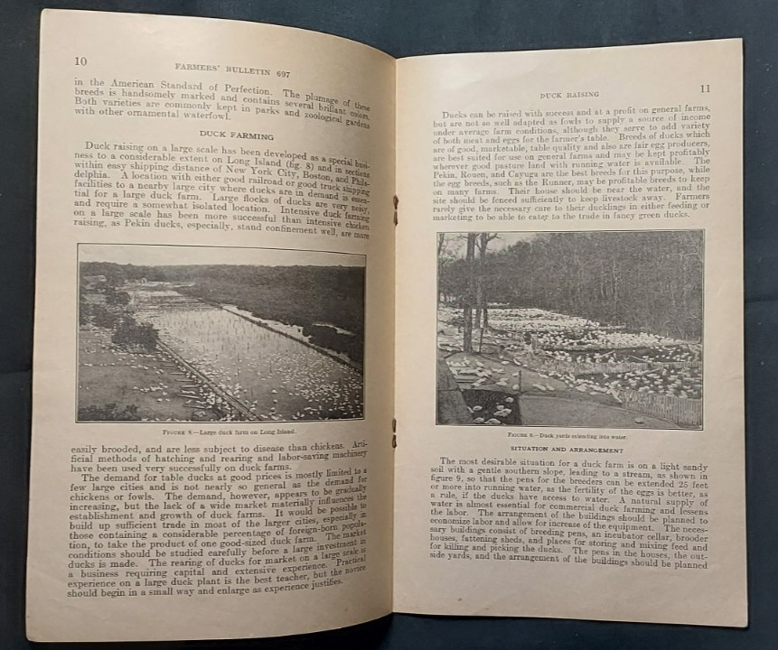1933 US Department Agriculture Farmer&rsquo;s Bulletin 697 Duck Raising Marketing Eggs