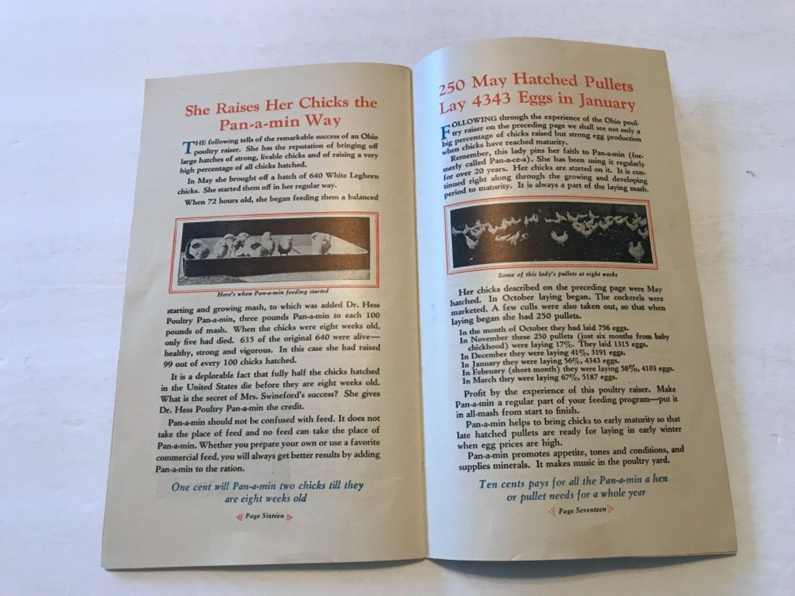 Dr Hess Products 1929 Catalog Ashland Ohio