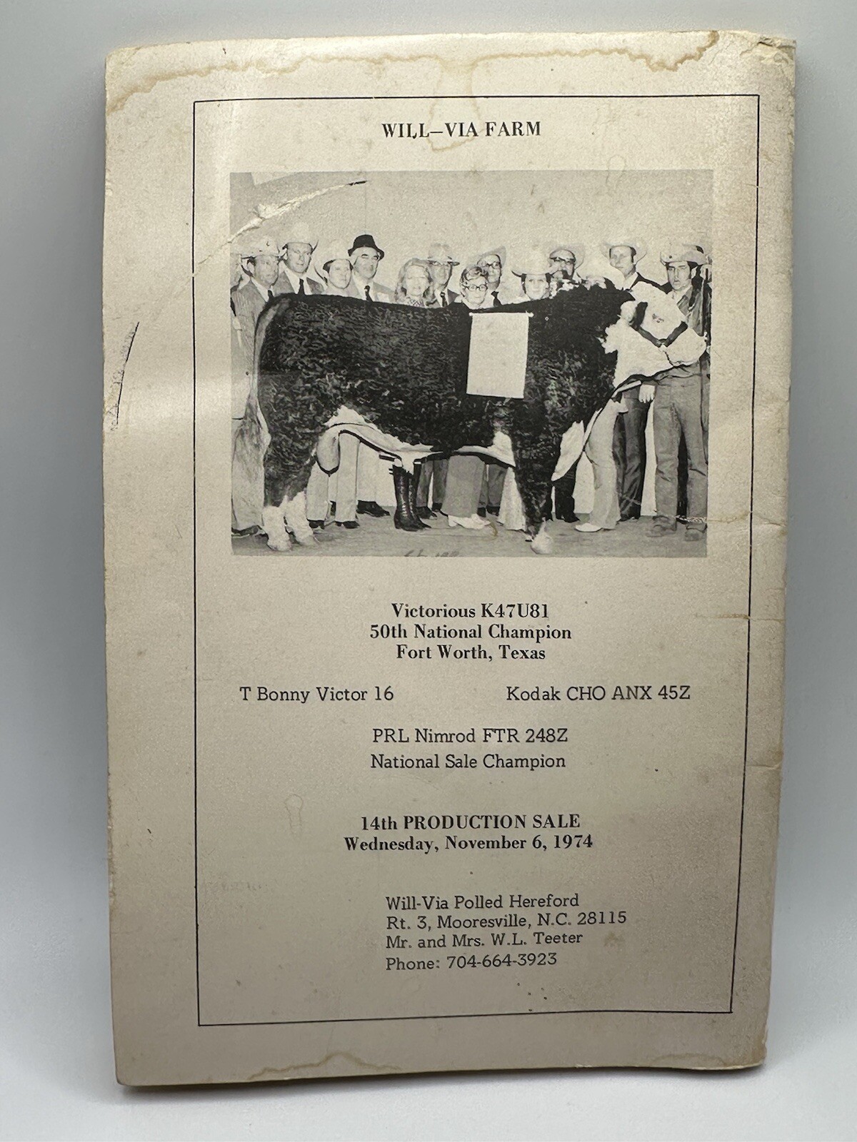 NC Breeder’s Directory Polled Hereford Association Cattle Catalog North Carolina