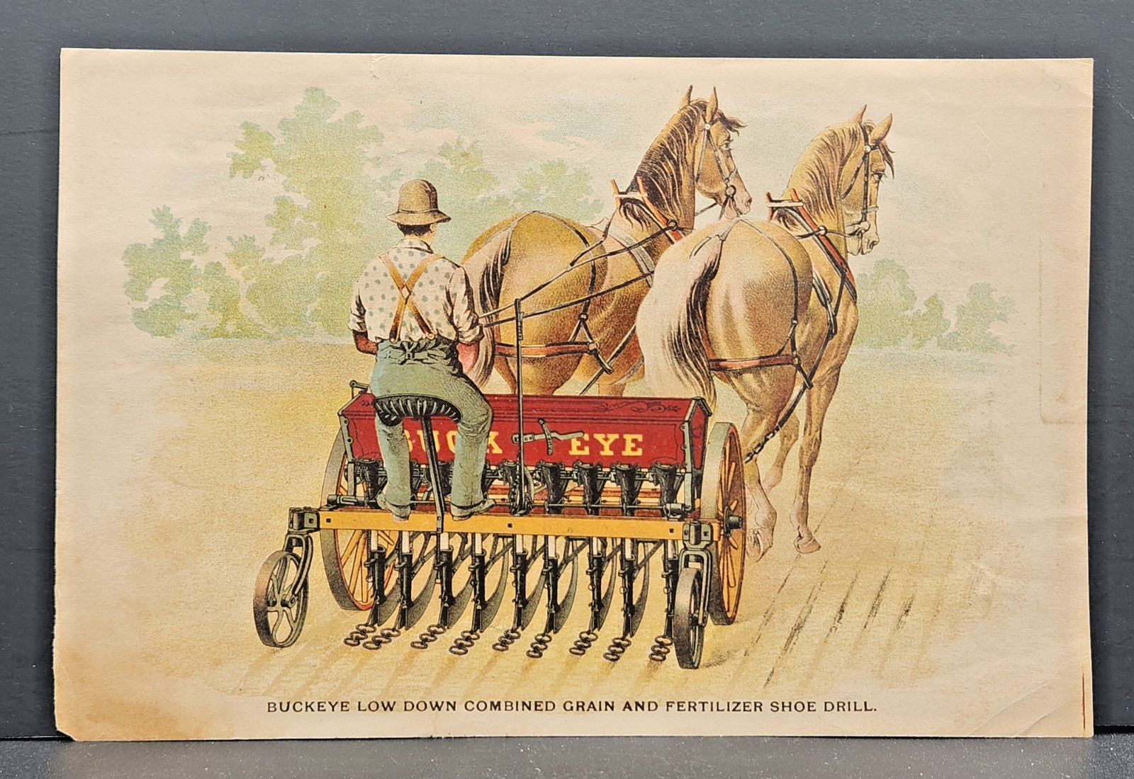Buckeye Low Down Combined Grain & Fertilizer Shoe Drill Agricultural Ad Card