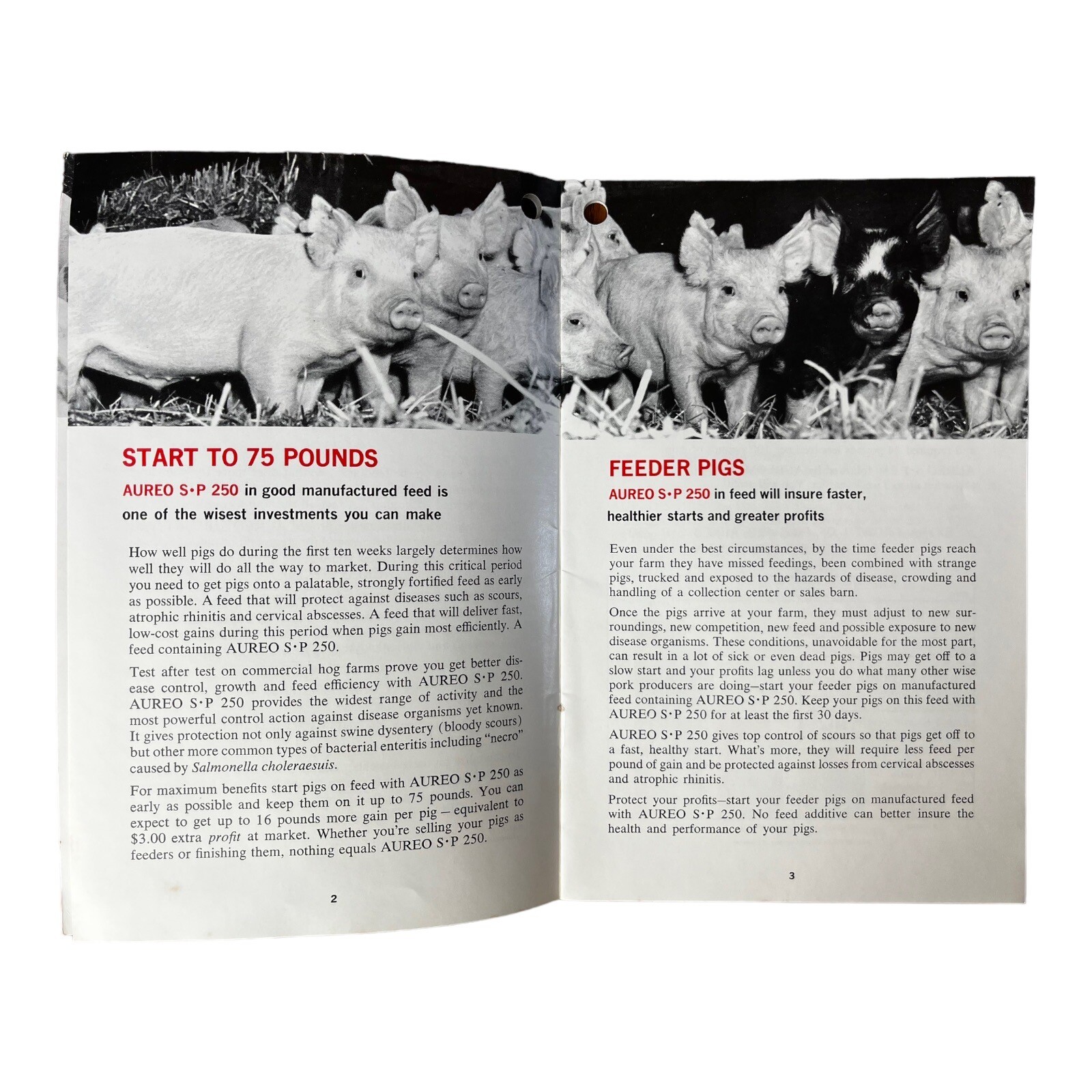 Vintage Aureo SP 250 Feed Pork Profit 16 Page Brochure Print Advert