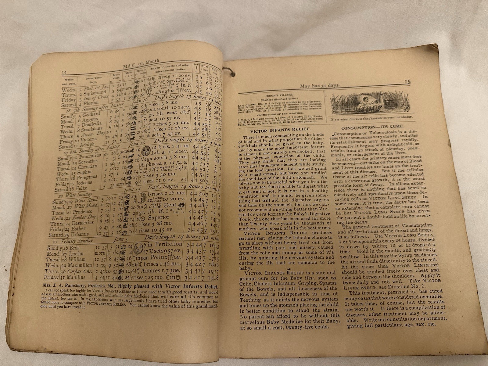 Lot 5 Antique Almanacs 1900-1907 Lancaster PA & Frederick MD + 1979 Newport PA