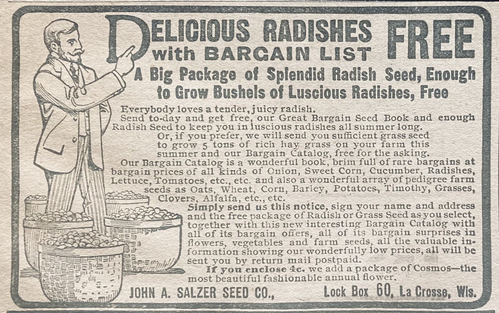 1906 AD(XH36)~JOHN A. SALZER SEED CO. LA CROOSE, WIS. RADISH SEEDS PROMOTION AD.