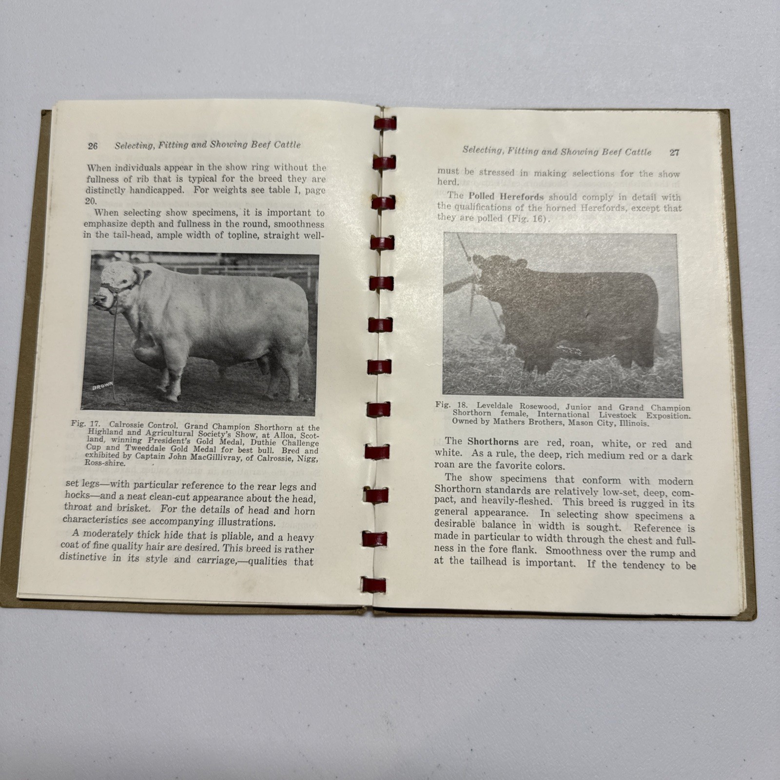 Beef Cattle Selecting Fitting Showing Nordby & Lattig Fourth, Edition, 1948