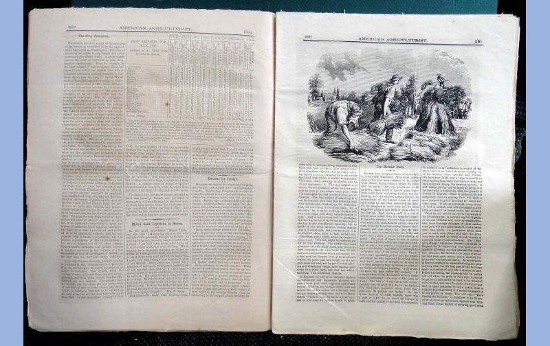 1863 JUL antique AMERICAN AGRICULTURIST farm garden household orange judd