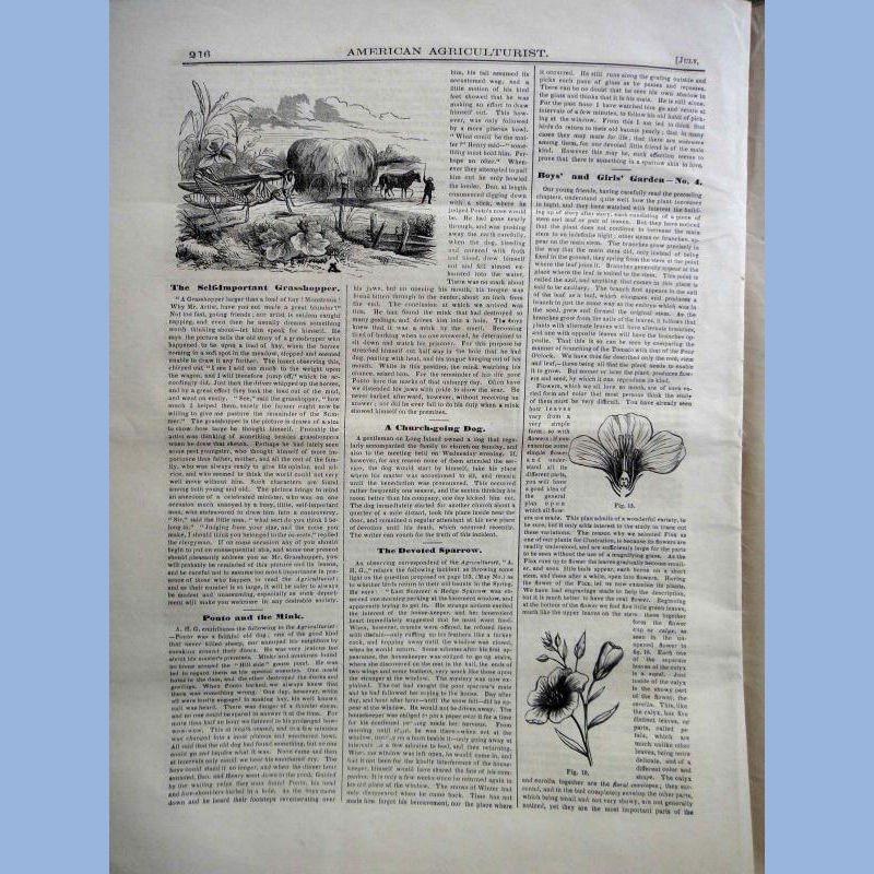 1863 JUL antique AMERICAN AGRICULTURIST farm garden household orange judd
