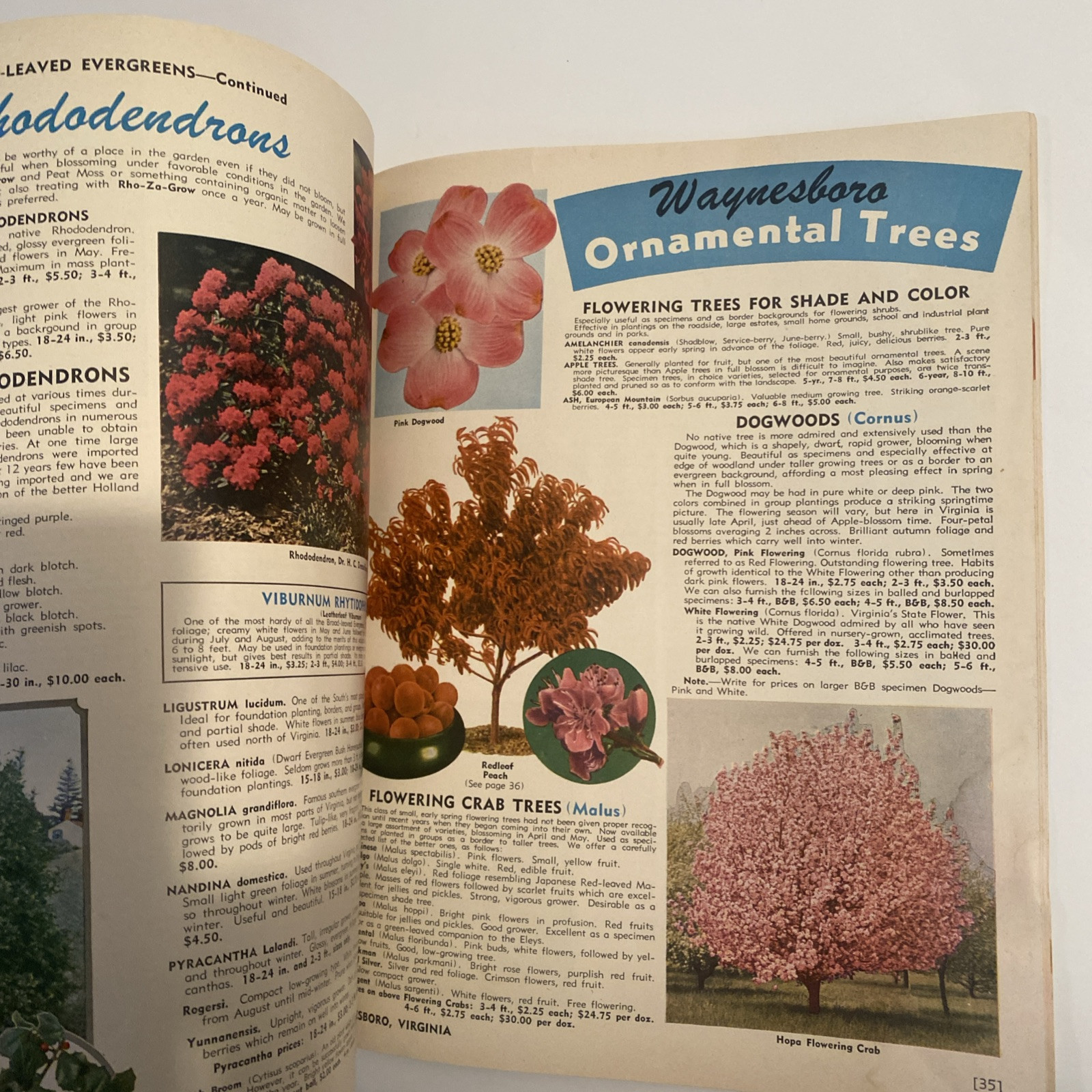 1952 VINTAGE WAYNESBORO NURSERIES FLOWER FRUIT SEED PLANTING CATALOG 48 Pgs