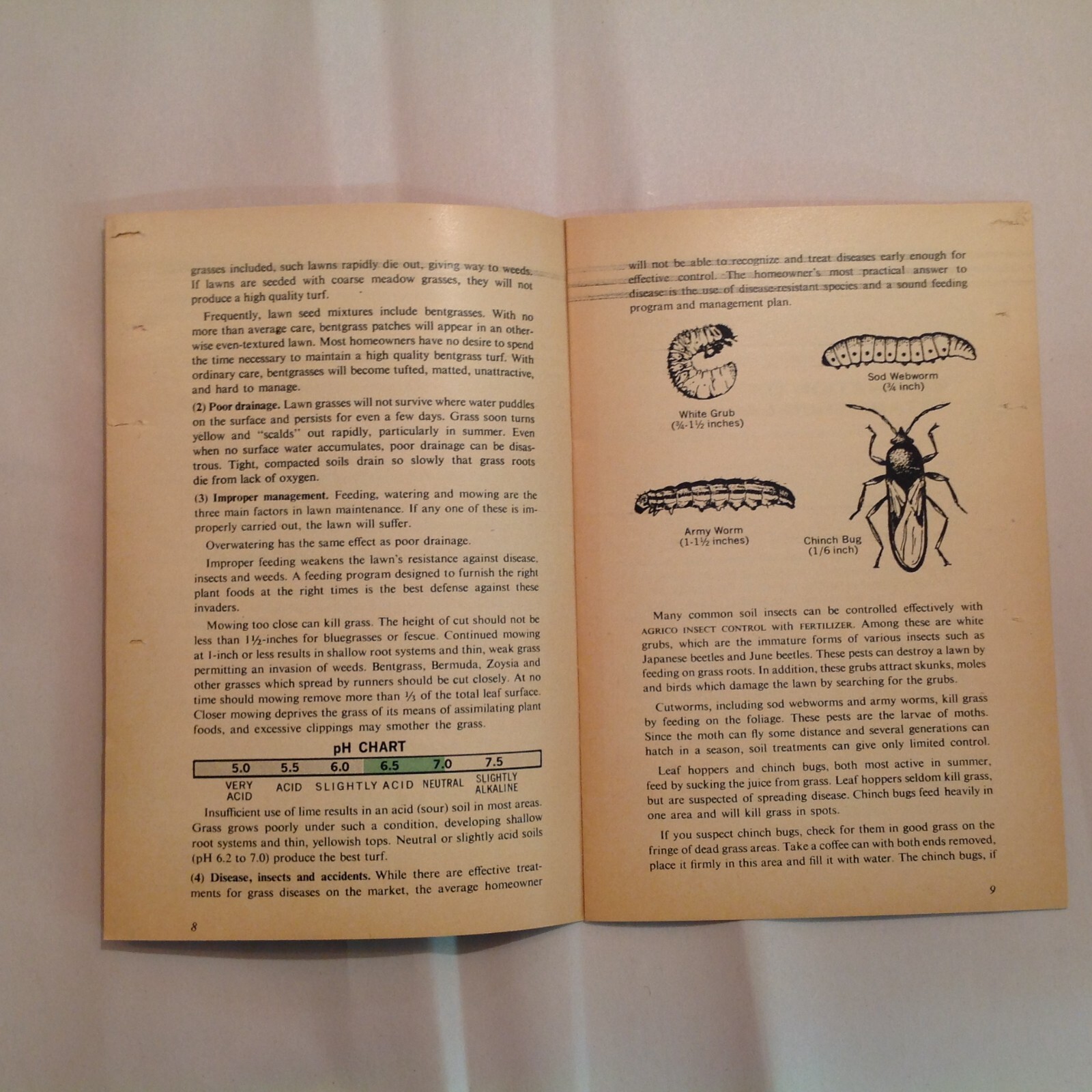 Vtg American Agricultural Chemical Co Agrico Booklet Your Lawn Care Guide Grow