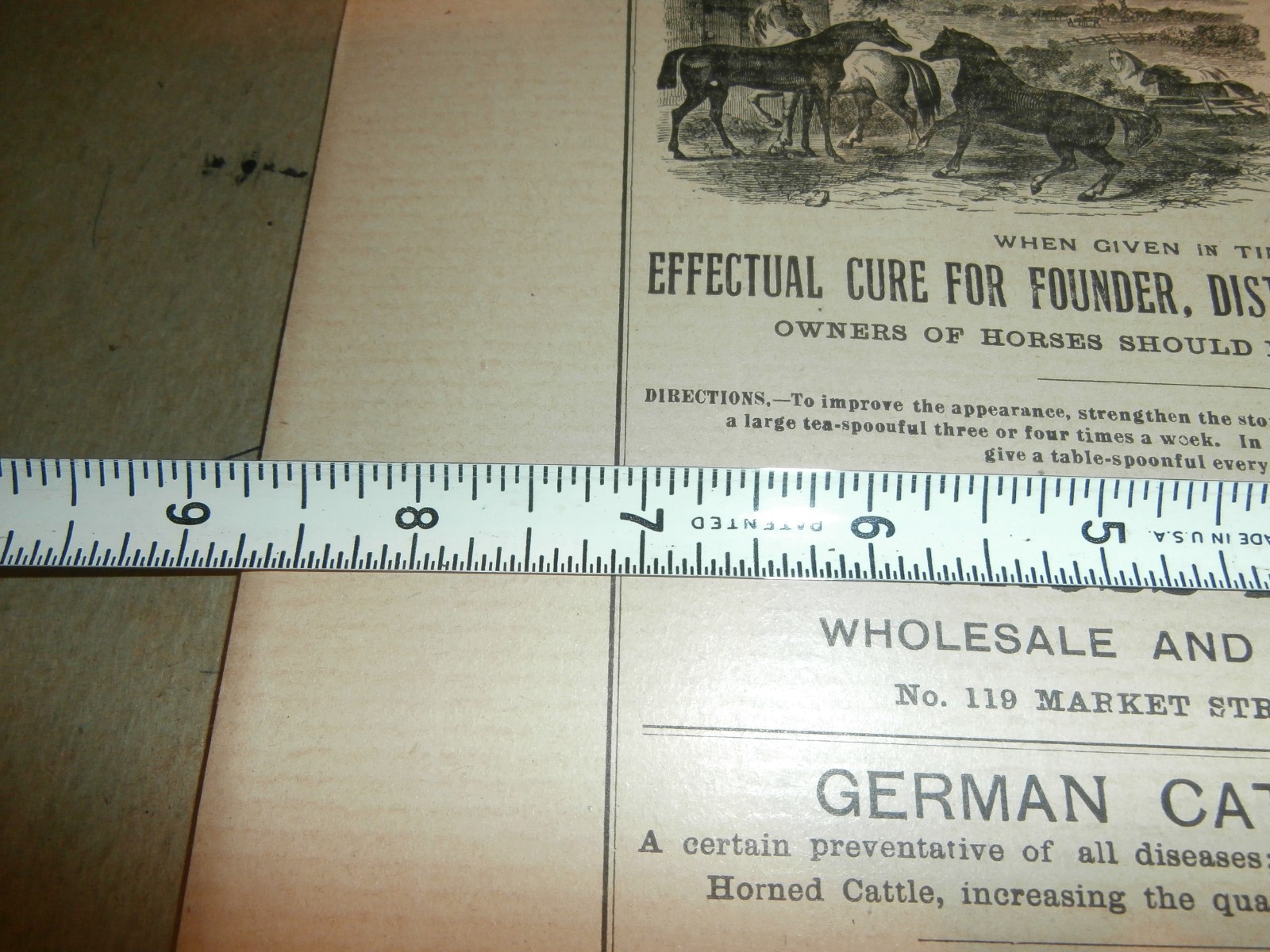 Harrisburg PA E Z Gross Drug Store German Horse Cattle Powder 1800&rsquo;s Paper Ad