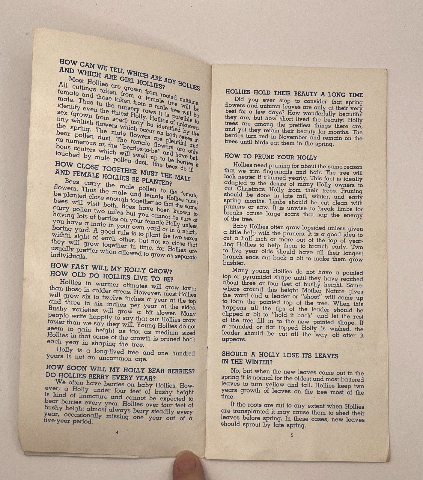 Earle Dilatush Holly Farm/Holly Specialist brochure- New jersey – 4×9