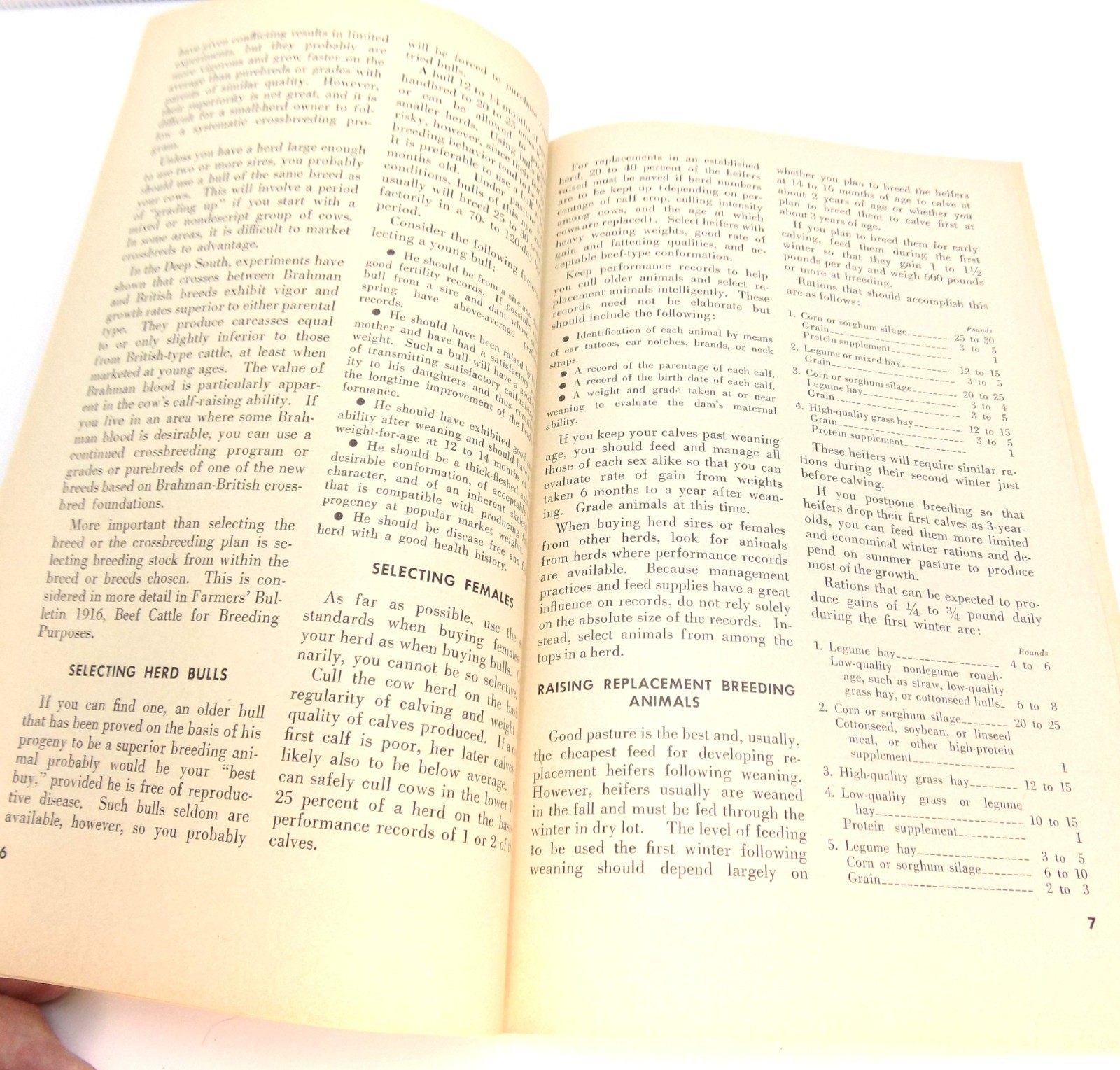 Vntg The Farm Beef Herd US Dept Ag Farmers&rsquo; Bulletin No. 2126 Buckworth 1958