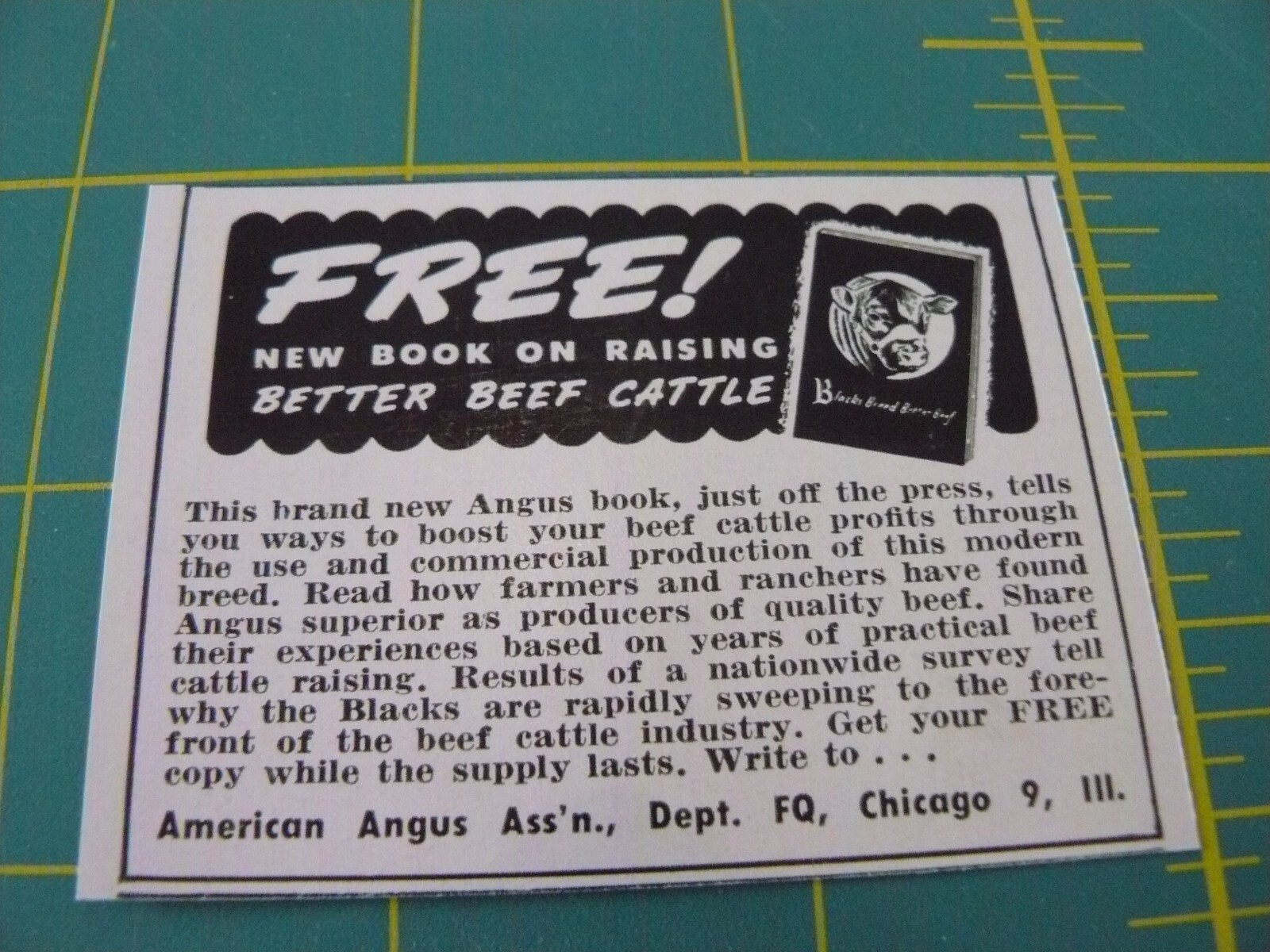 THE FARM QUARTERLY- SUMMER 1957-AD- BOOK: RAISE BETTER BEEF CATTLE/ Chicago, ILL