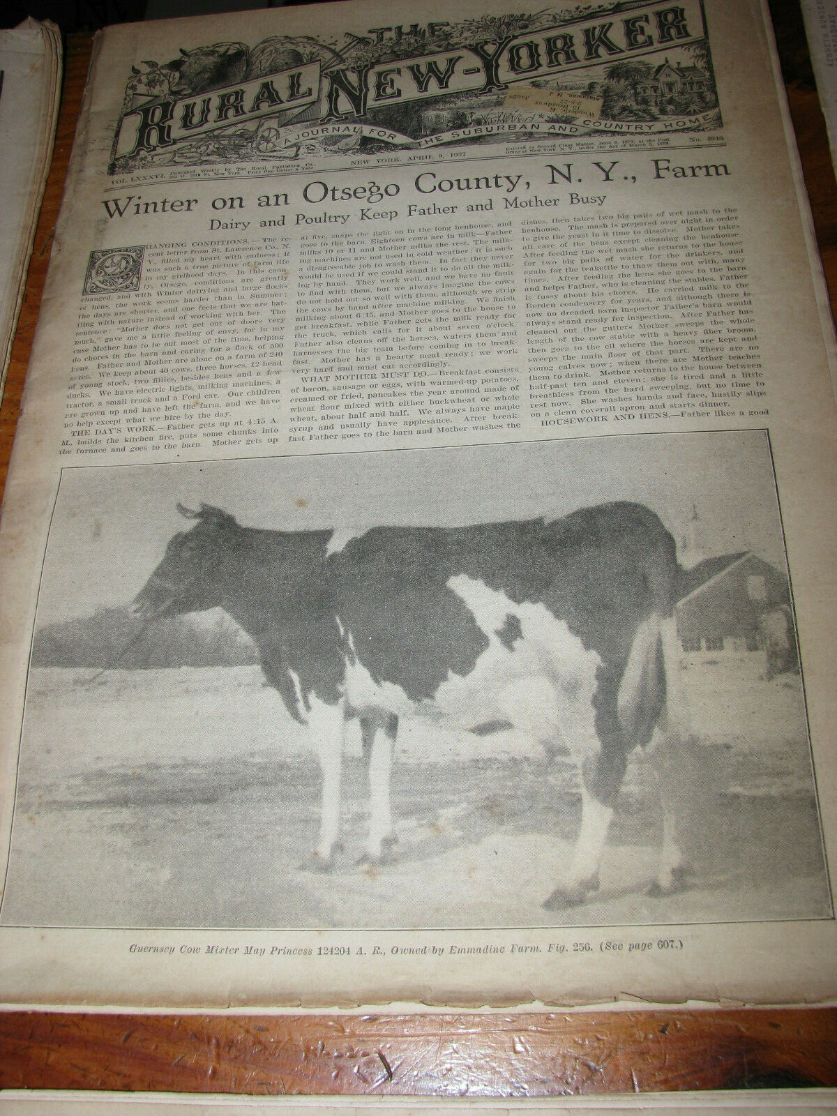 Eleven Vintage 1923-1941 The Rural New Yorker Journal Newspaper