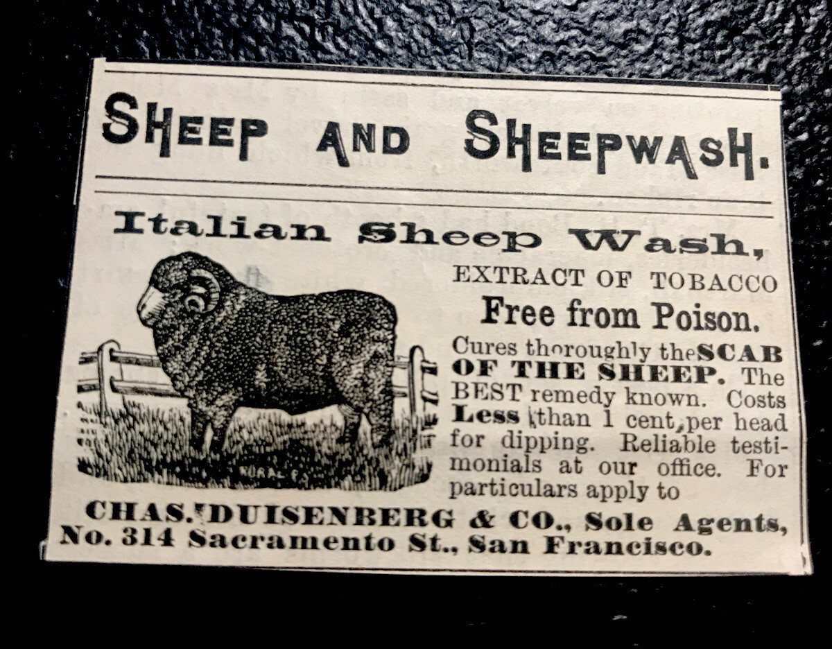 1886 Sheep Wash Farm Advertising – San Francisco – California