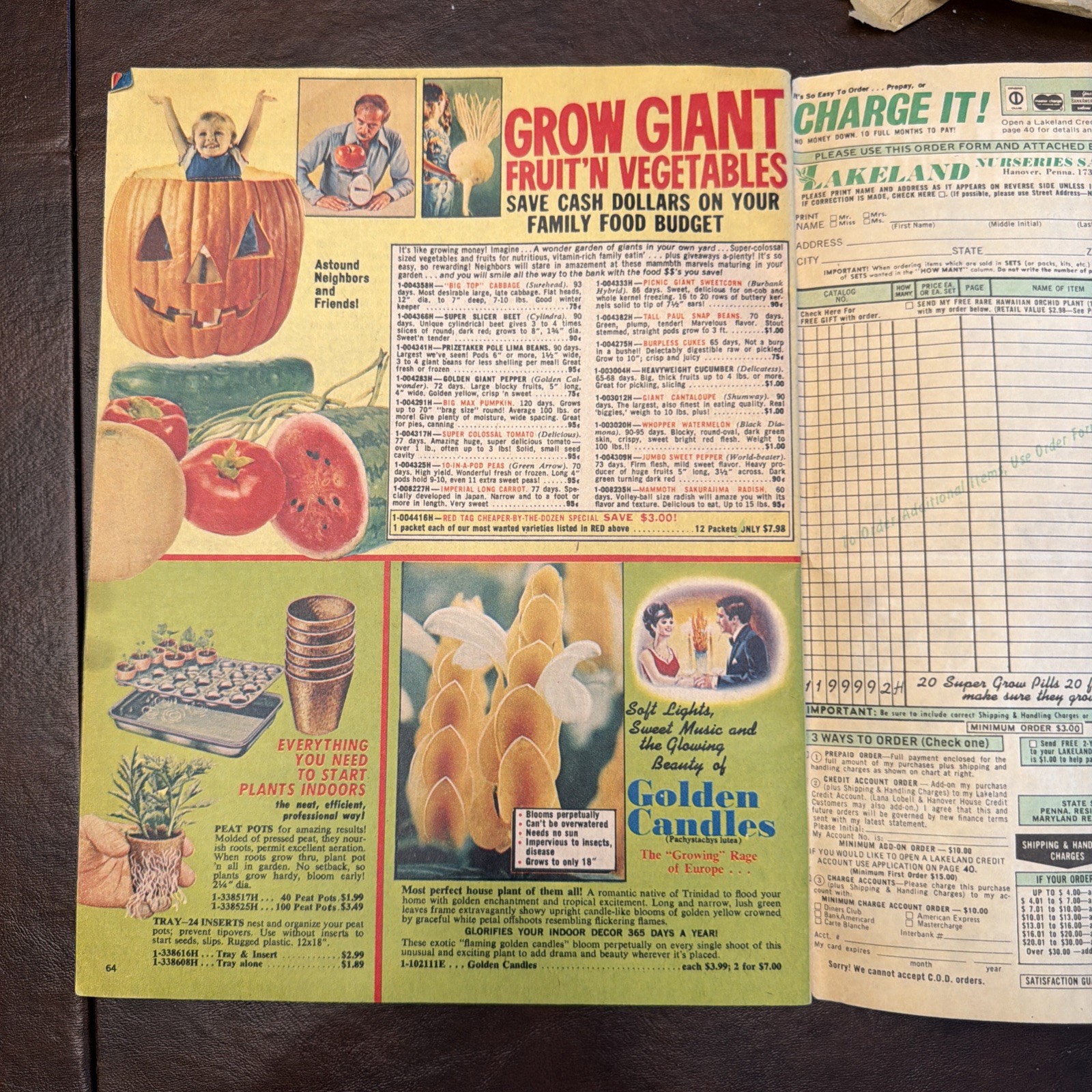 Vintage Lakeland Nurseries 1977 Sales Brochure