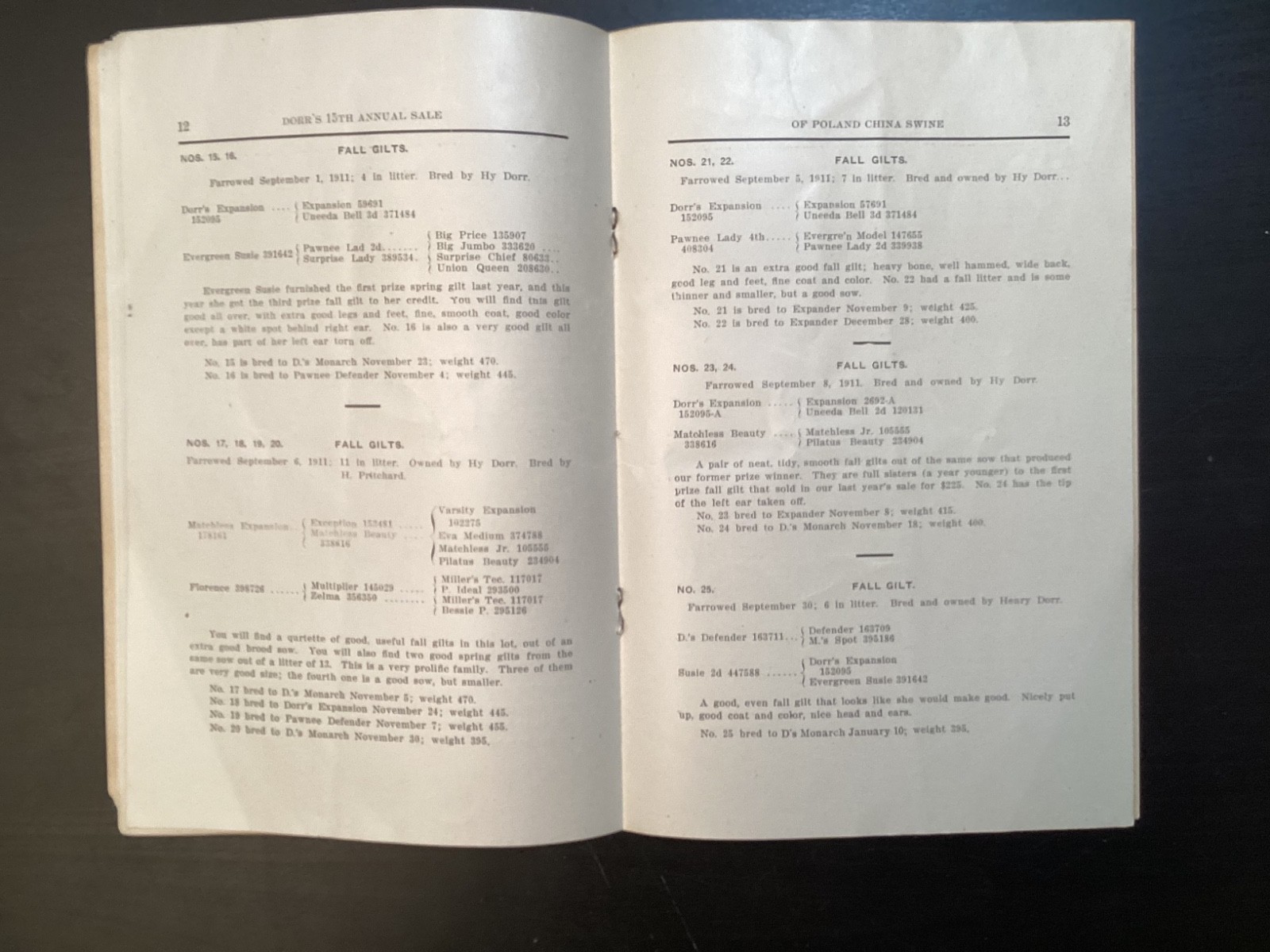 1913 Poland China Sows Sale Catalogue, Henry Dorr, Marcus IA