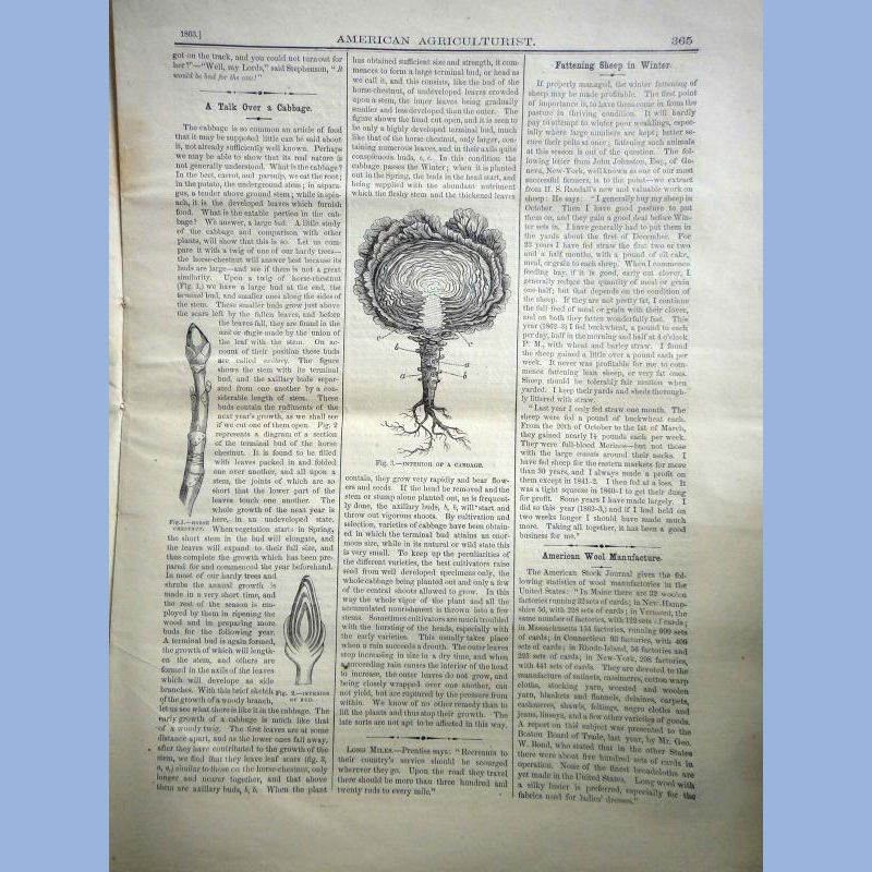 1863 DEC antique AMERICAN AGRICULTURIST farm garden household orange judd