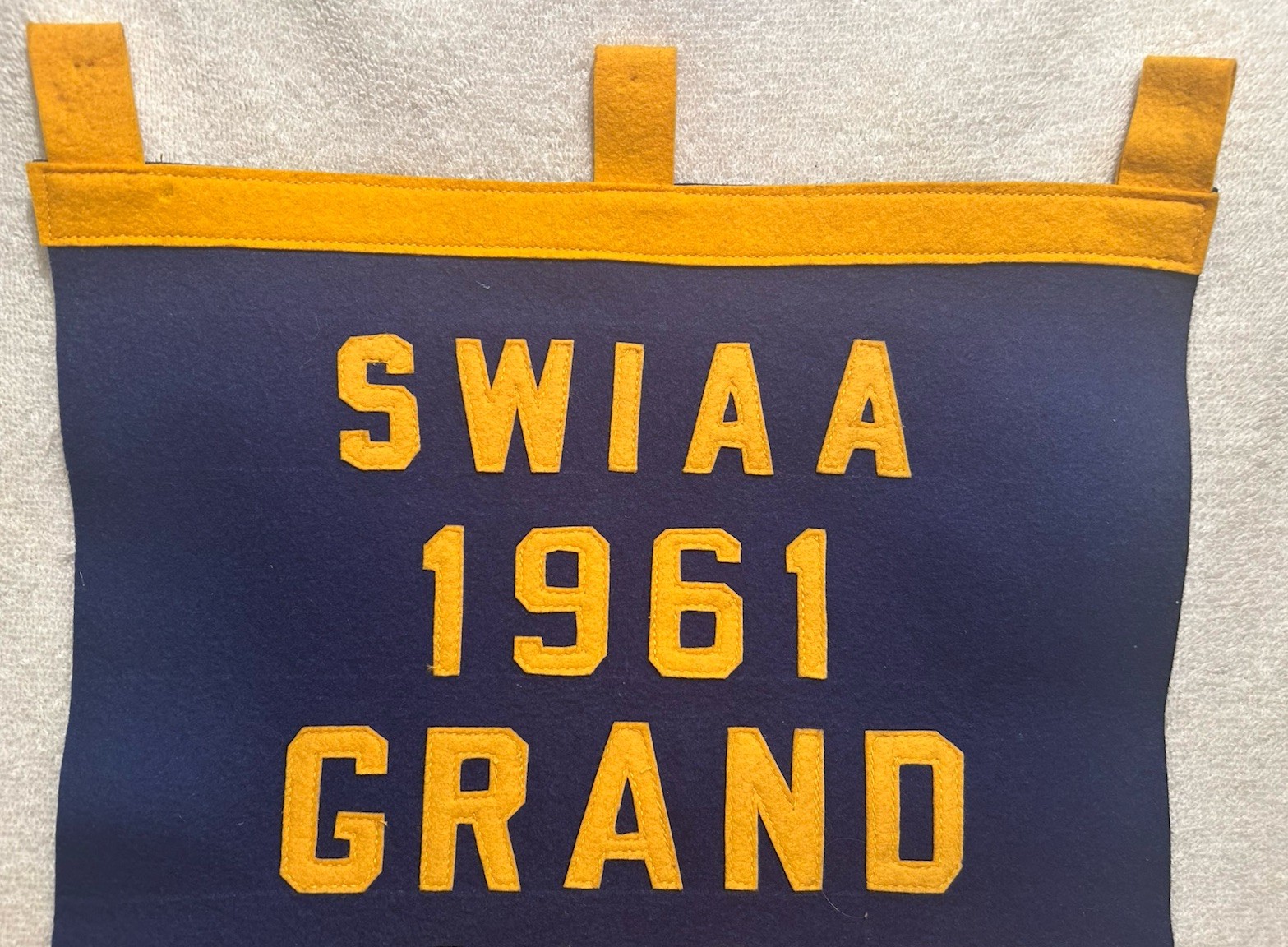 Vtg Banner Southwestern Indiana Angus Association 1961 Champion Steer 14X23 OOAK