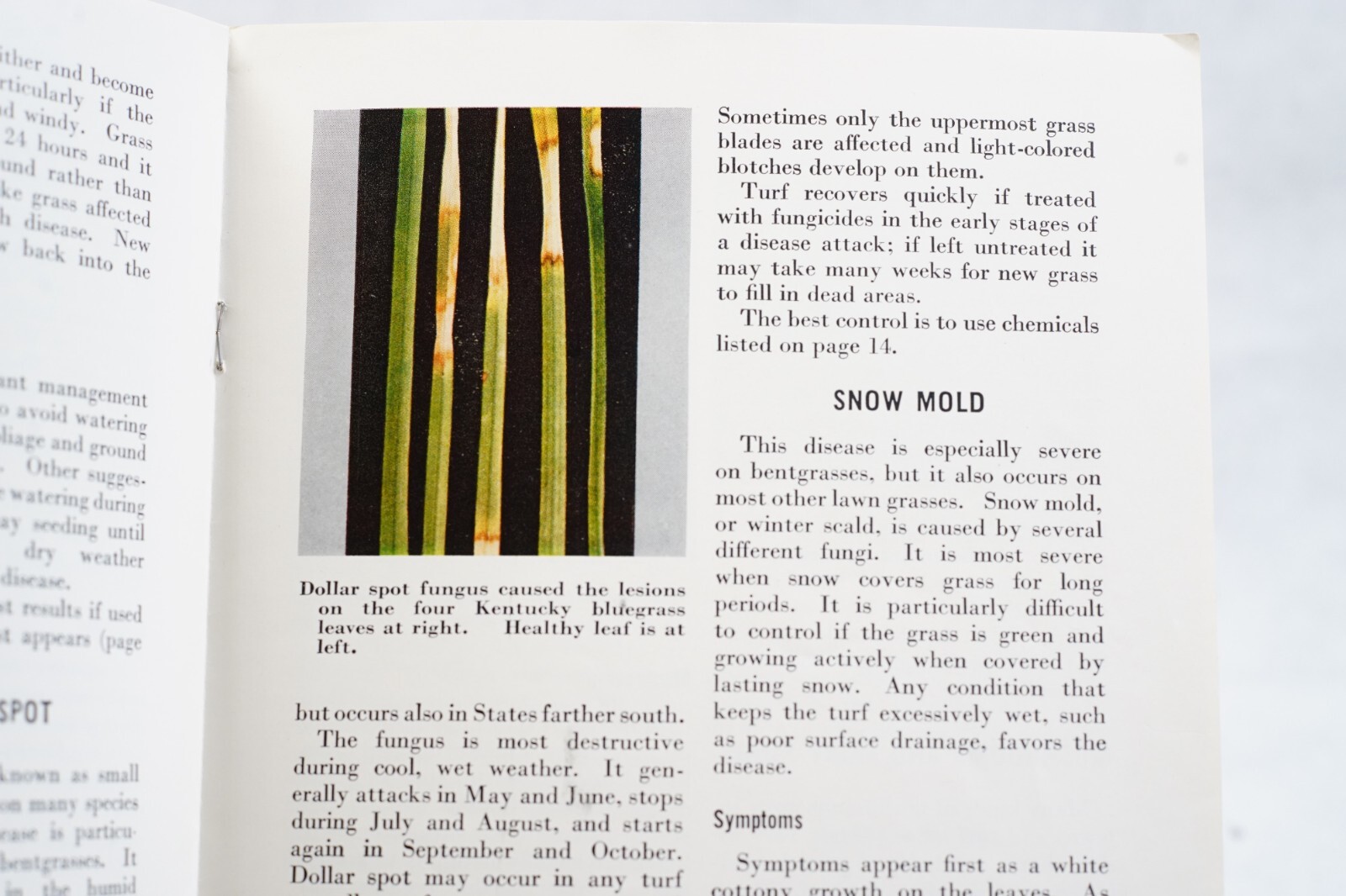 1960s Lawn Diseases USDA Home and Garden Bulletin No. 61 Agricultural Brochure