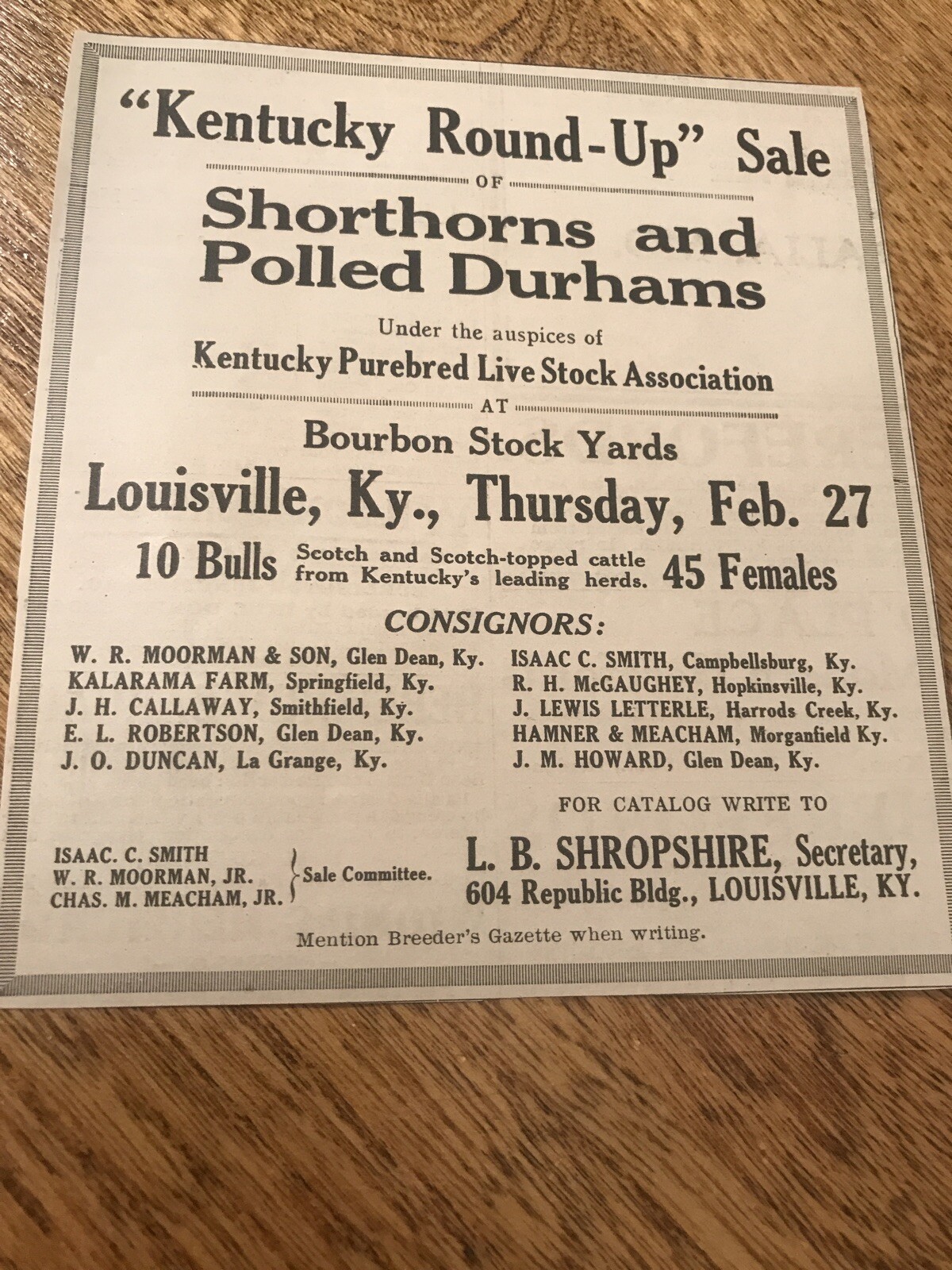 1919 Cattle Livestock Public Sale – Louisville – Kentucky – Cow Advertising