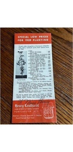 Henry Leuthardt 1939 Espalier Dwarf Fruit Tree Brochure Port Chester NY