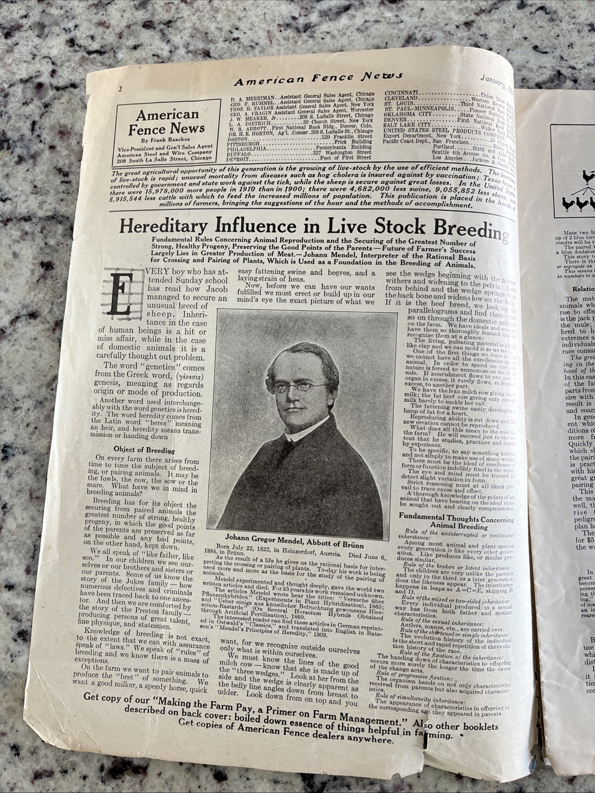 Antique 1915 American Farm Fence Cattle Trade Magazine Comet Shorthorn Bull