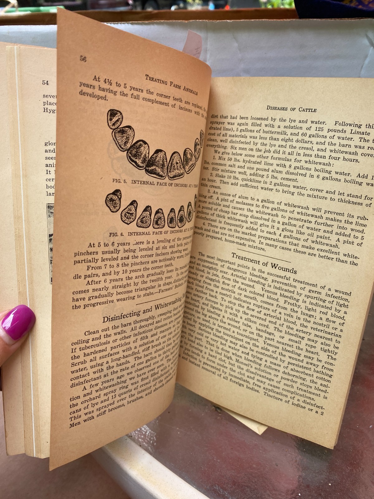 Vintage HOARD&rsquo;S DAIRYMAN How to Treat Common Ailments of Farm Animals 1935