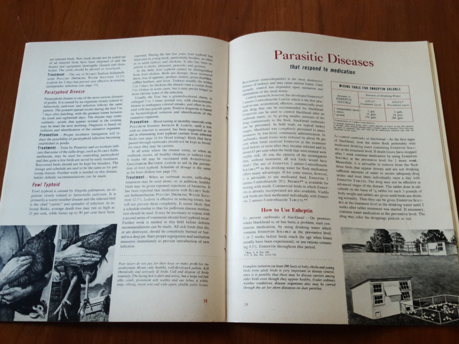 Lederle Labs * Control Of Poultry Diseases Mack Drug Co Middletown New York 1951