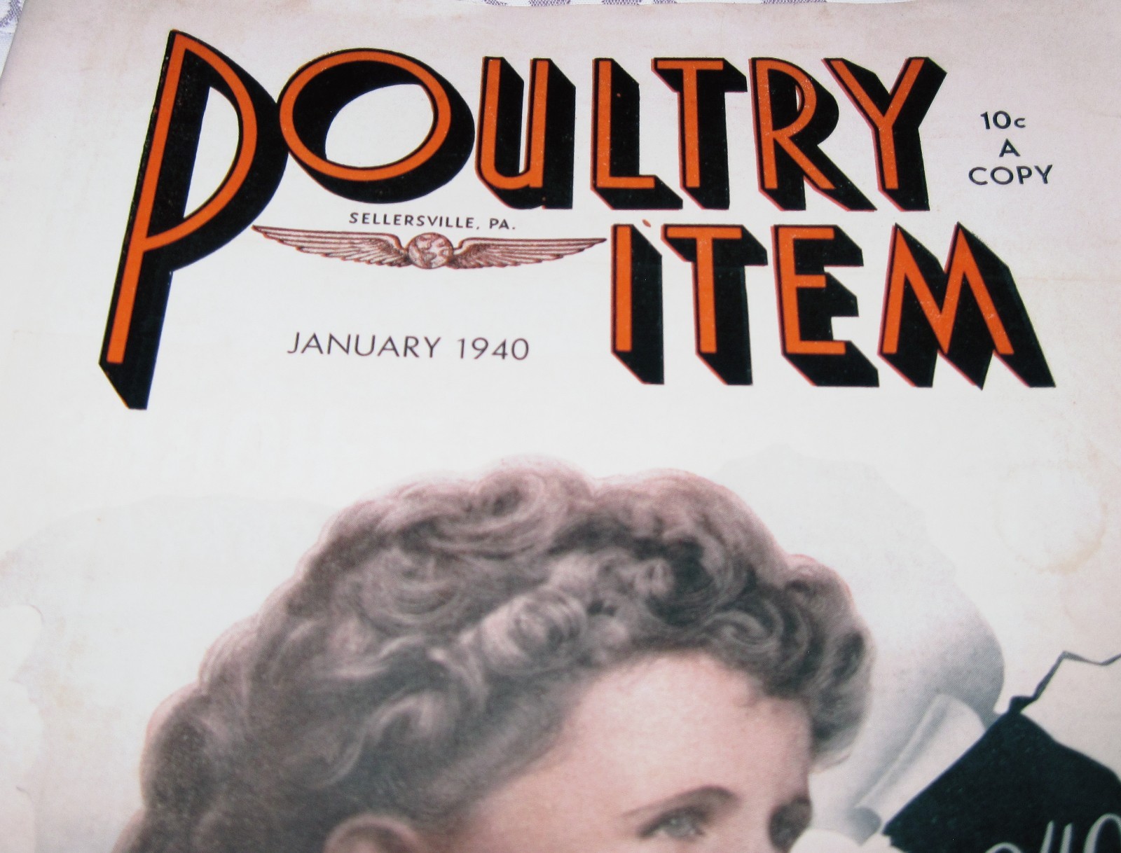 1940 Issue Poultry Item Magazine Sellersville, PA Poultry Farming Magazine