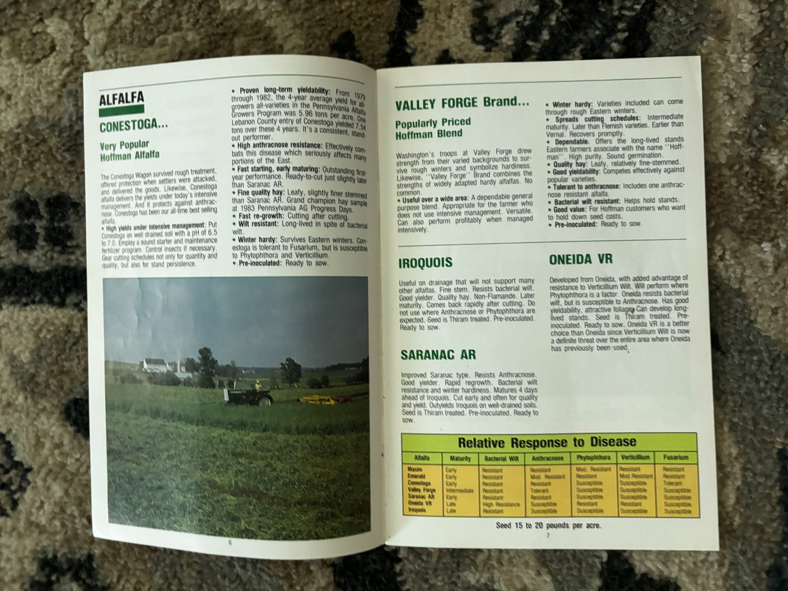 Hoffman Seed Book For 1986 Brochure DCPA26