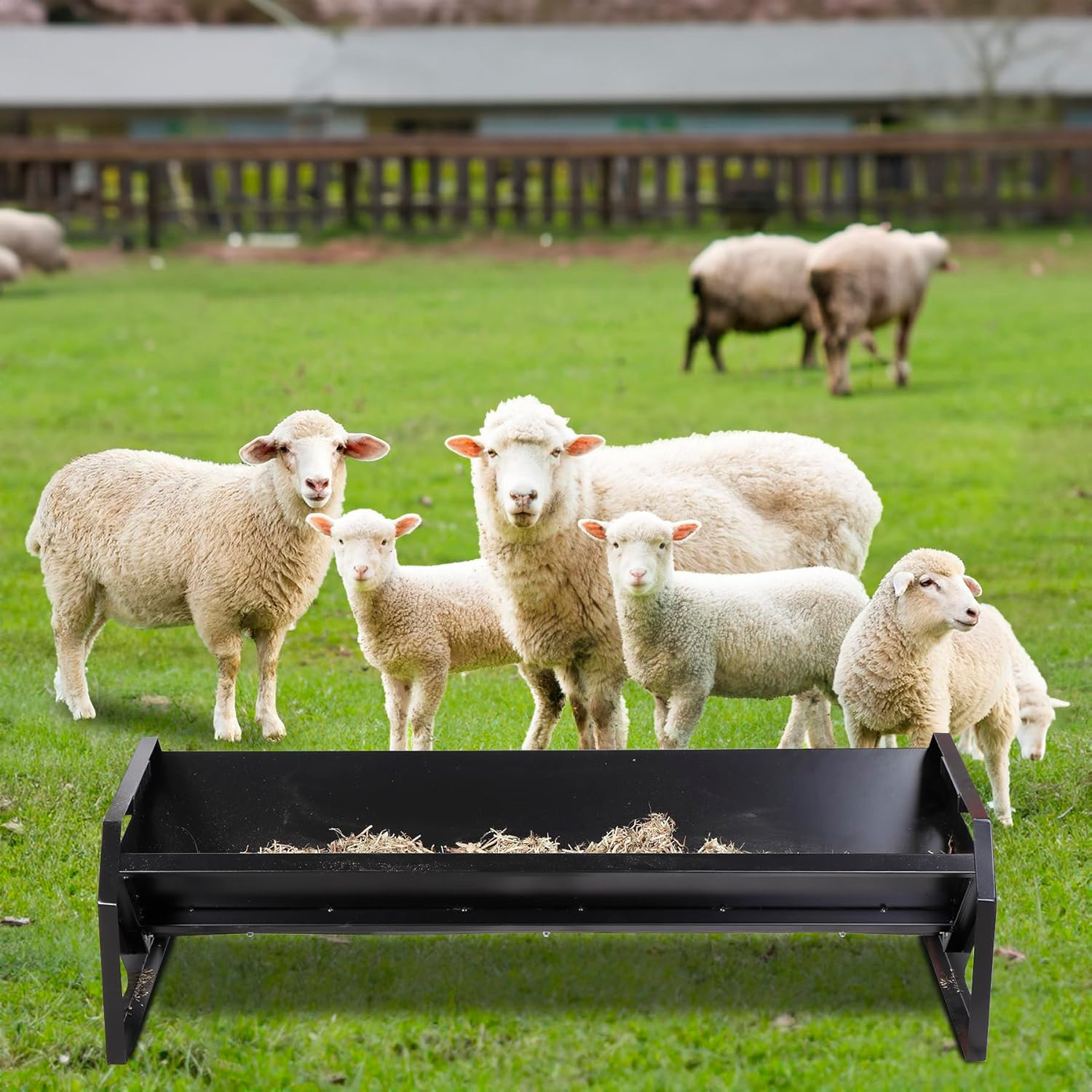 Pasture Feeder 44.2&Prime; Long, Heavy-Duty Large Capacity Livestock Feeder with Deepe