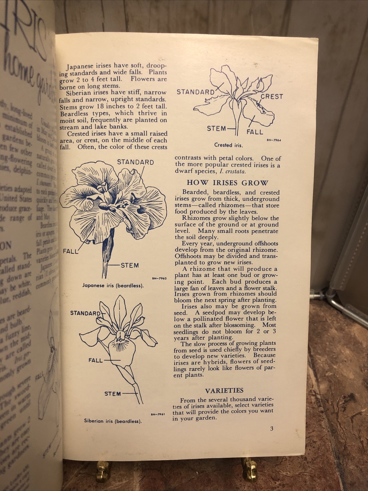 Vintage 1966 Growing Iris In Home Garden US Department Of Agriculture Booklet
