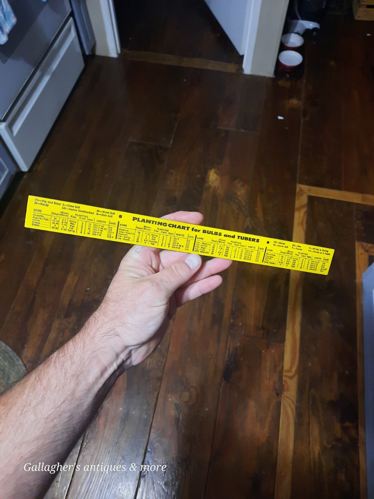 VINTAGE Rare Albemarle NC Stanley Hardware company ADVERTISING RULER Plant