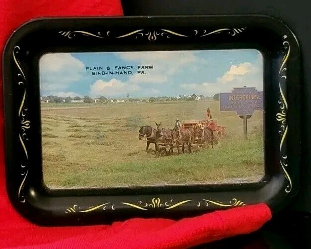 Farm Bird In Hand, PA Horses Collector Tin Tray vtg Farmhouse Plain & Fancy