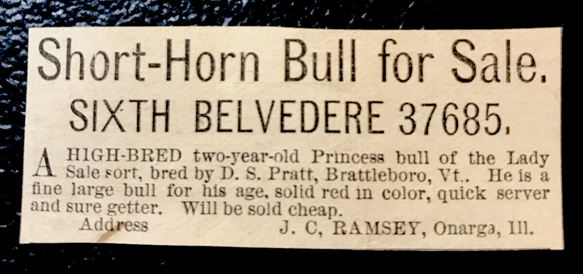 1883 J.C. Ramsey Cattle Advertising – Onarga – Illinois – Cow – Farm