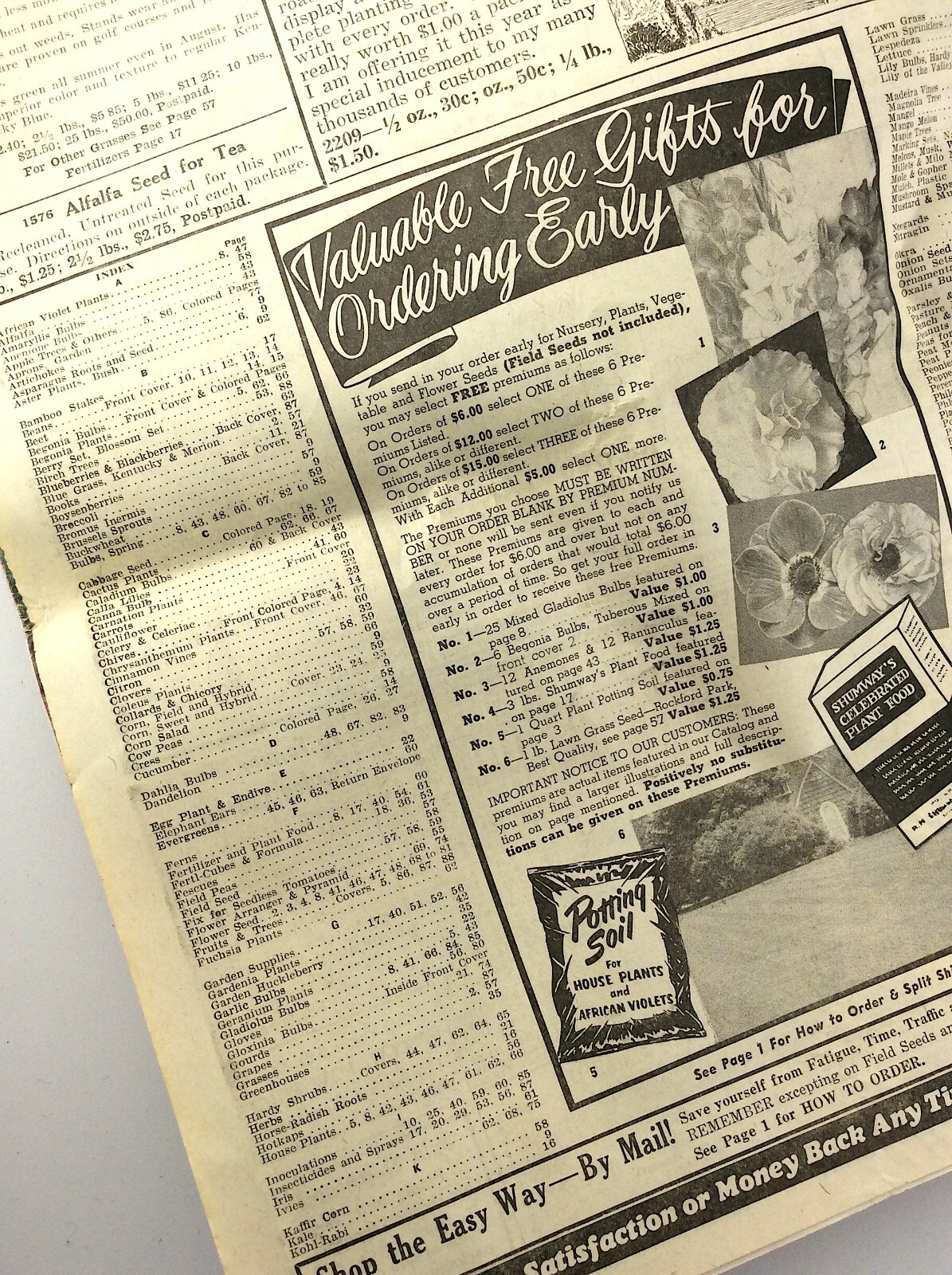 RH Shumway Seedsman Rockford Illinois 1961 Plant Garden Seed Catalog Q381