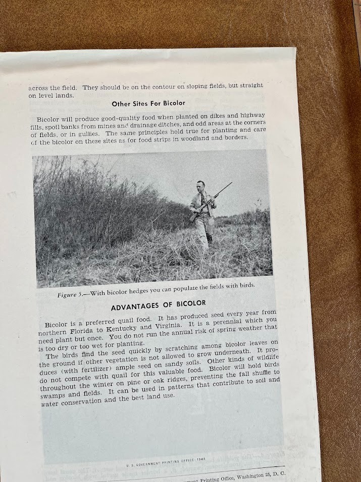 1948 US DEPARTMENT OF AGRICULTURE Bicolor Lespedeza QUAIL MANAGEMENT HUNTING